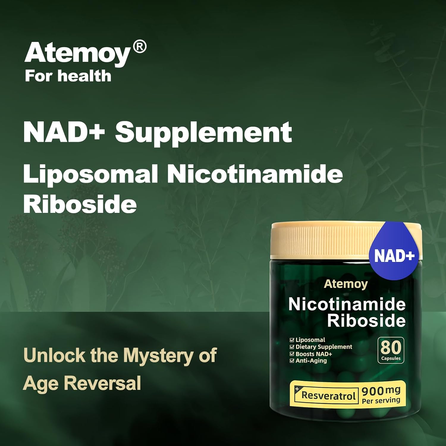 High Purity NAD+ Supplement with Liposomal Nicotinamide Riboside, Resveratrol, and Quercetin - 80 Capsules for Energy and Focus
