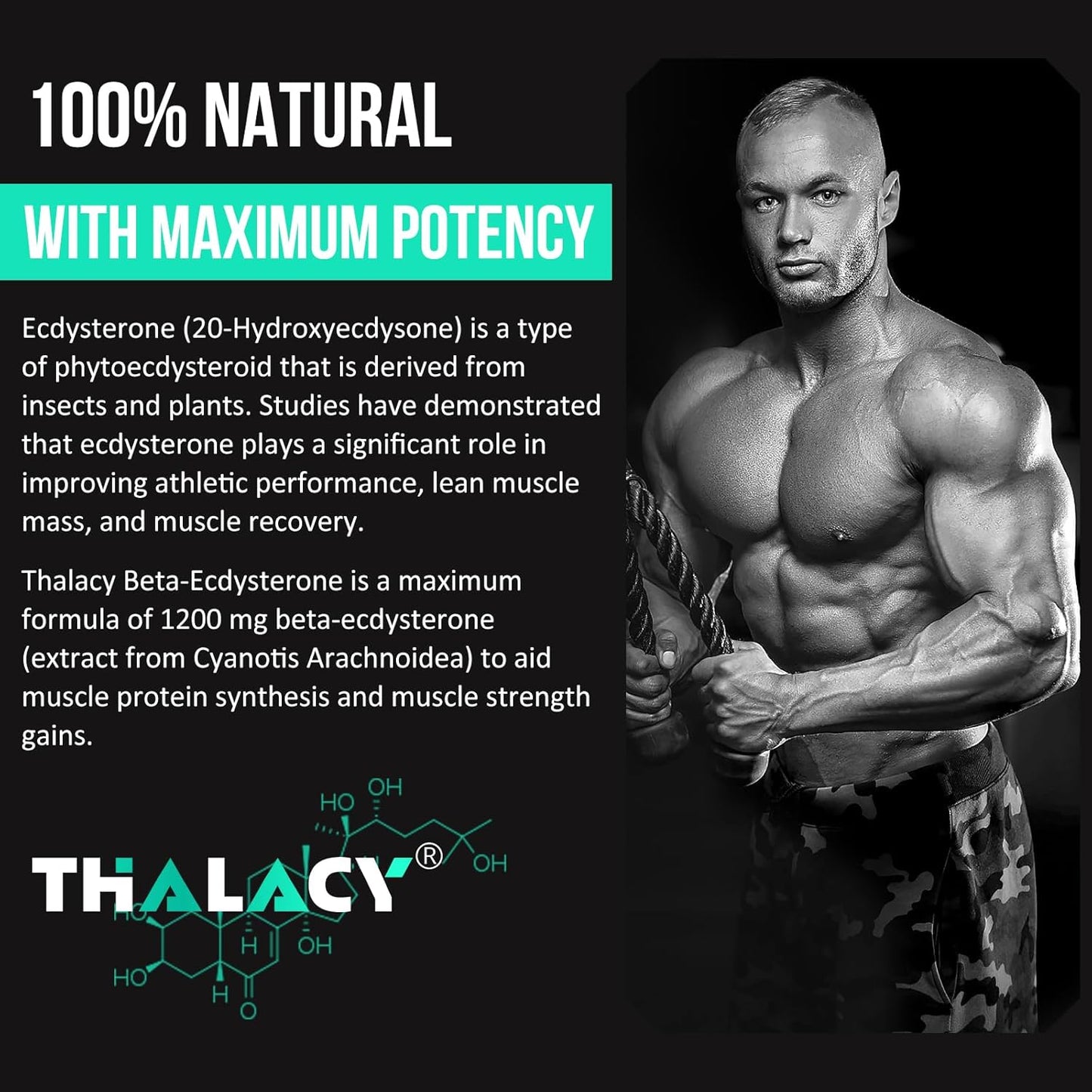 High Purity Thalacy 1200MG Beta Ecdysterone Supplement for Lean Muscle Mass - 120 Capsules