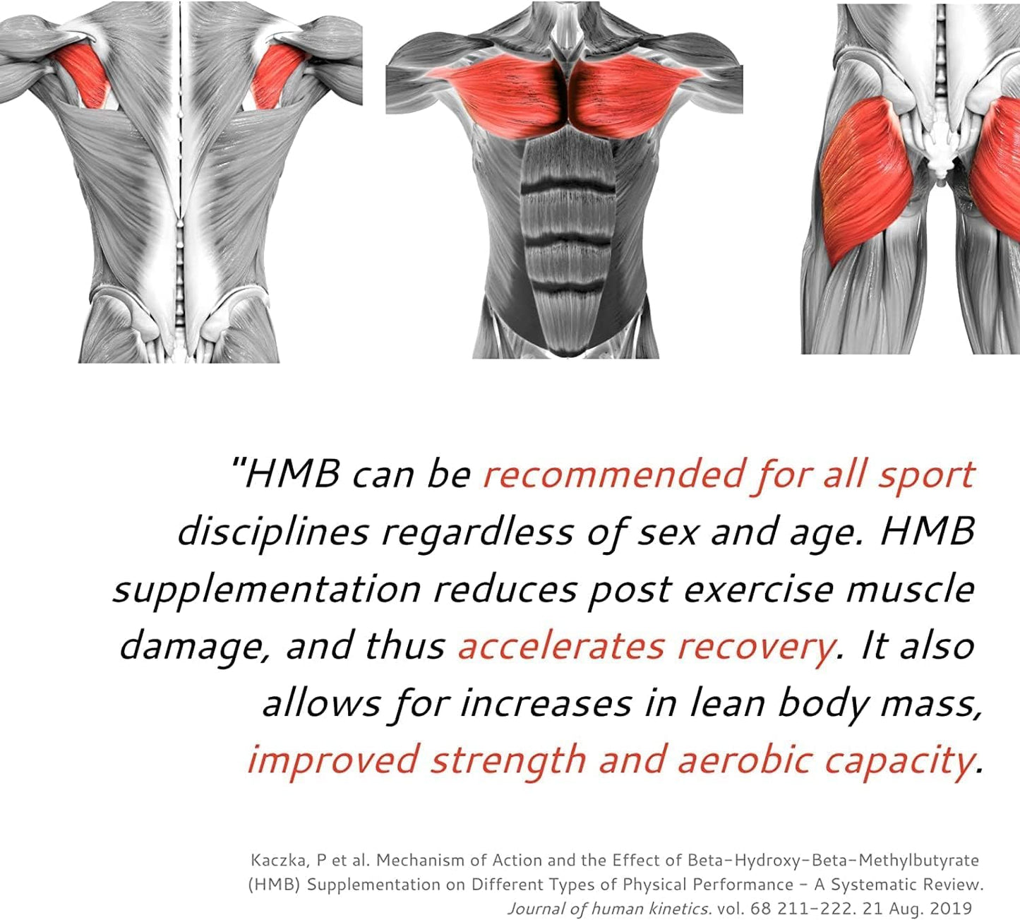 High-Quality 1000mg Senta HMB Supplement for Muscle Growth, Retention & Recovery - 90 Capsules for Bodybuilding