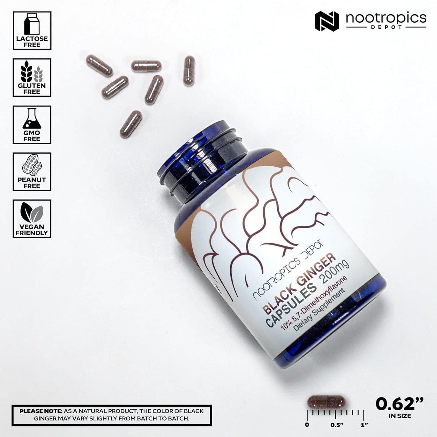 High-Quality Black Ginger Extract Capsules with 10% 5,7-Dimethoxyflavone | 180 Capsules by Nootropics Depot
