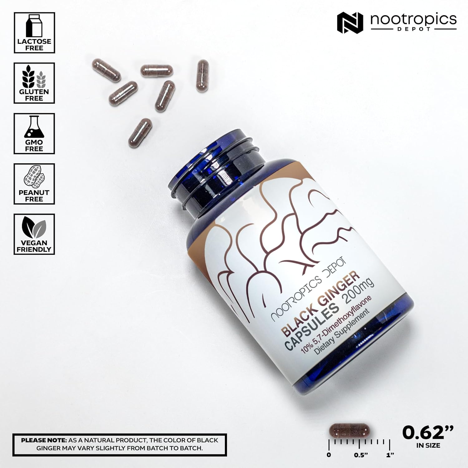 High-Quality Black Ginger Extract Capsules with 10% 5,7-Dimethoxyflavone | 180 Capsules by Nootropics Depot