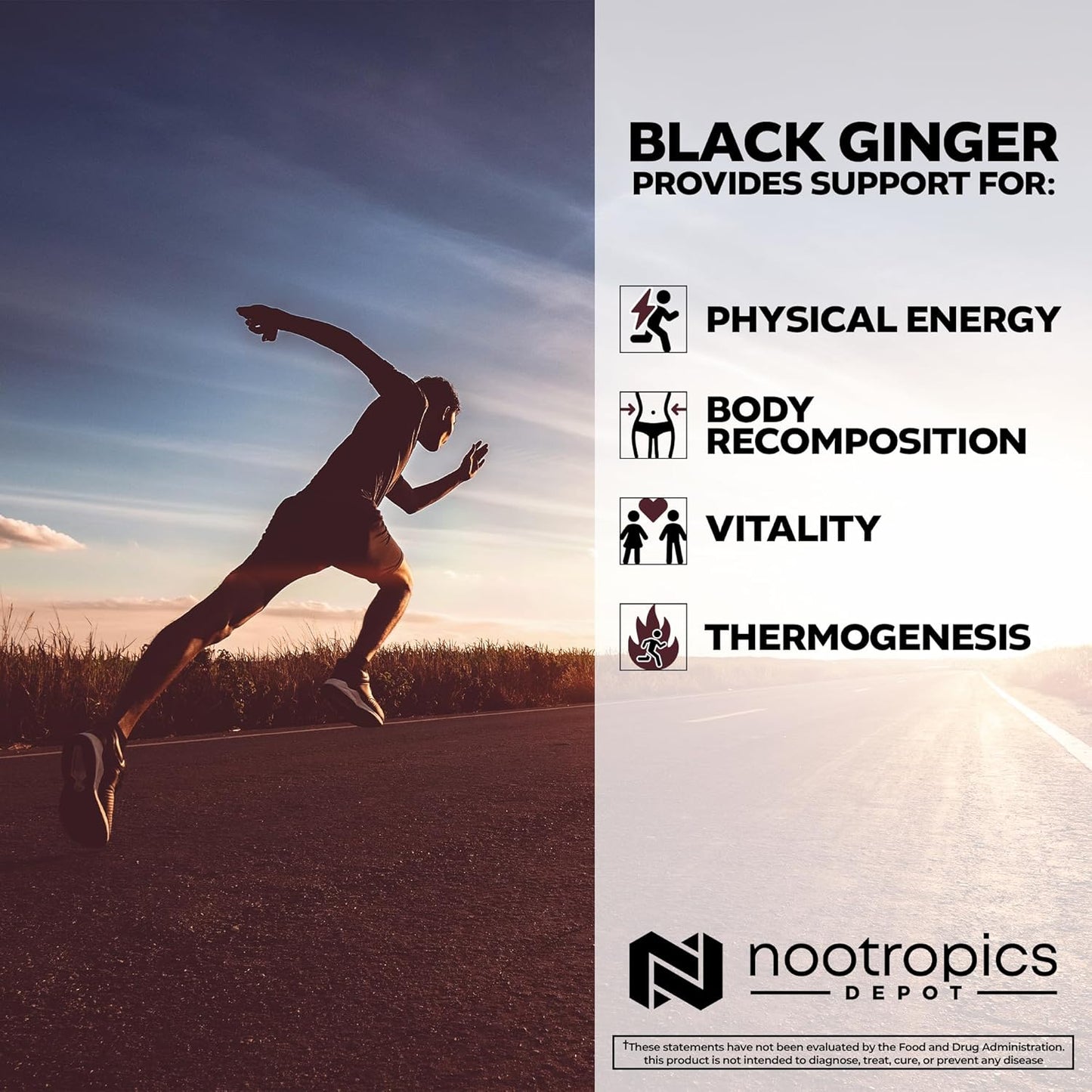 High-Quality Black Ginger Extract Capsules with 10% 5,7-Dimethoxyflavone | 180 Capsules by Nootropics Depot
