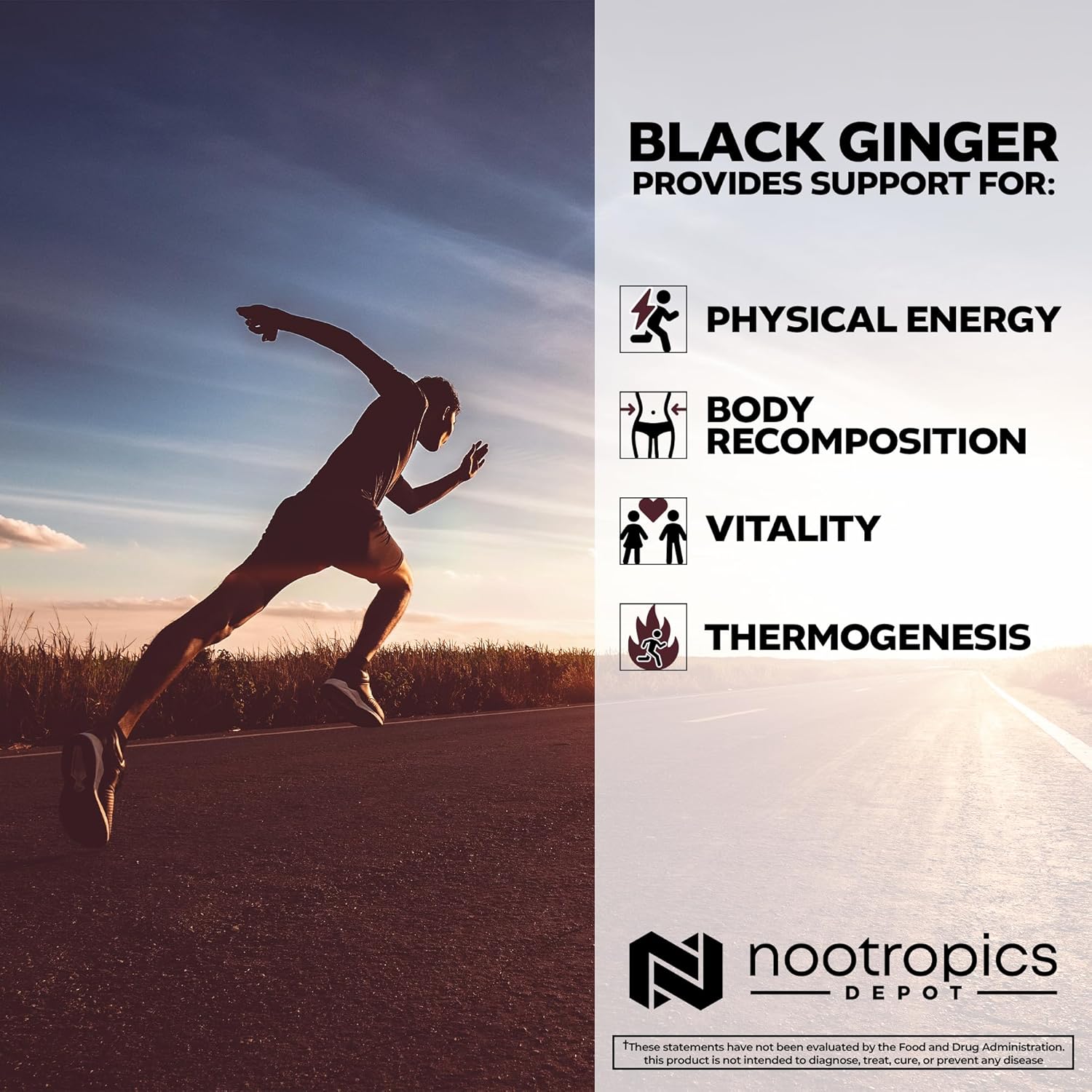 High-Quality Black Ginger Extract Capsules with 10% 5,7-Dimethoxyflavone | 180 Capsules by Nootropics Depot