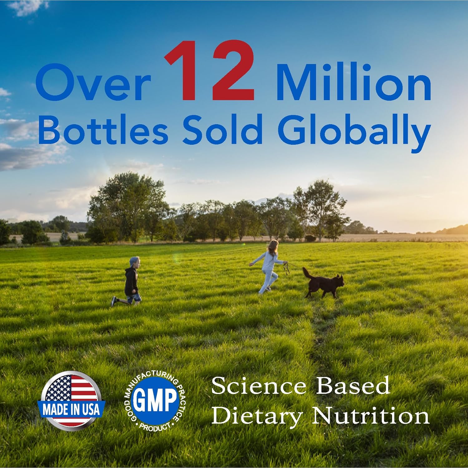 High-Quality Bone and Joint Health Supplement with Glucosamine, Chondroitin, MSM, Mastic, and Curcumin - 750mg - 180 Capsules - Non-GMO, Gluten Free - 6 Month Supply