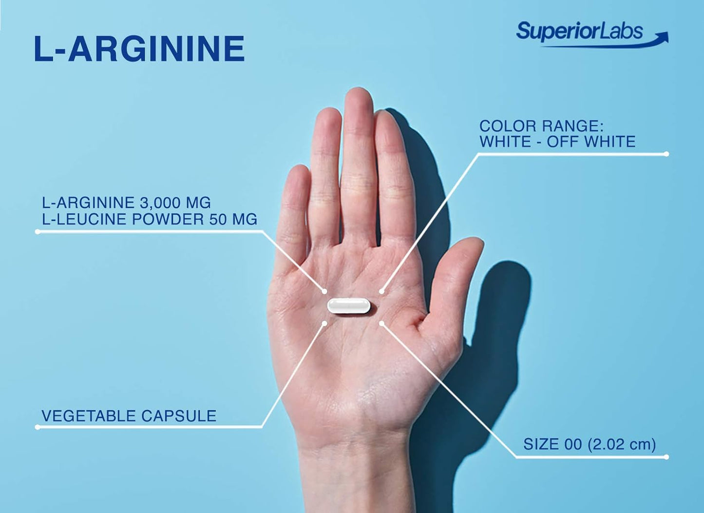 High-Quality L-Arginine Supplement - 3,000mg Dosage - 150 Veg Capsules - Supports Vasodilation, Energy, Cardio Health
