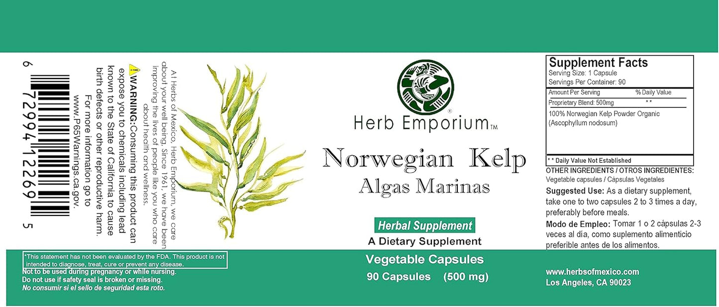 High-Quality Norwegian Kelp Capsules - Algas Marinas, Ascophyllum Nodosum, Laminaria Supplement