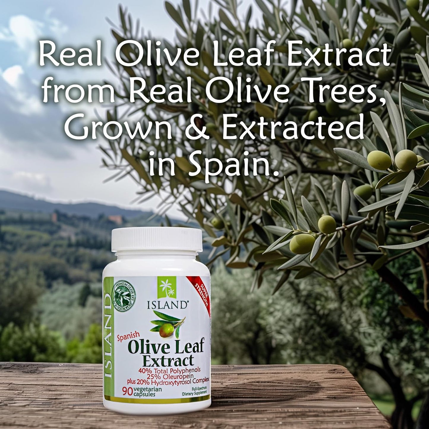 High-Quality Olive Leaf Extract Capsules with 25% Oleuropein & 40% Total Polyphenols - Spanish Origin (90 Capsules)