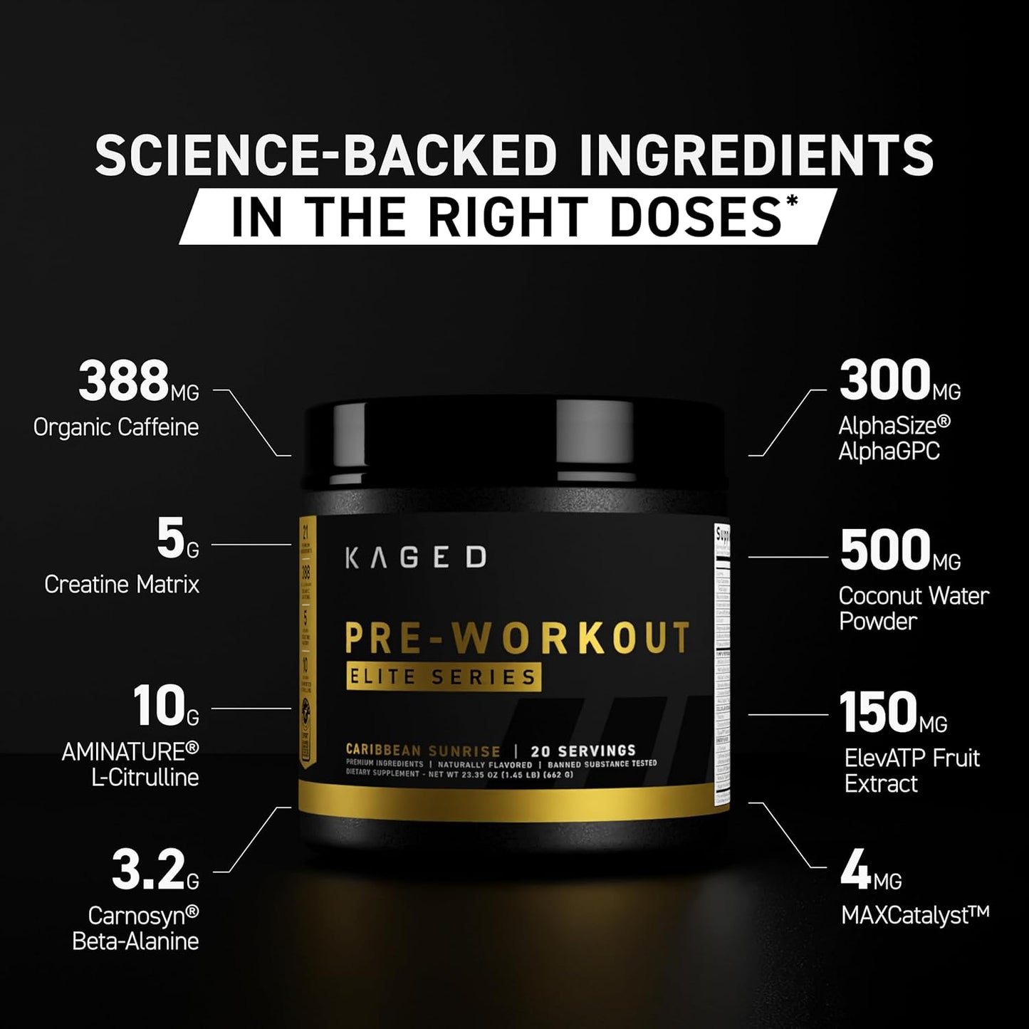 High Stimulant Pre Workout Powder for Men & Women - Energy, Focus, Pumps - L-Citrulline, Beta Alanine, Creatine - 388mg Organic Caffeine - Fruit Punch Flavor