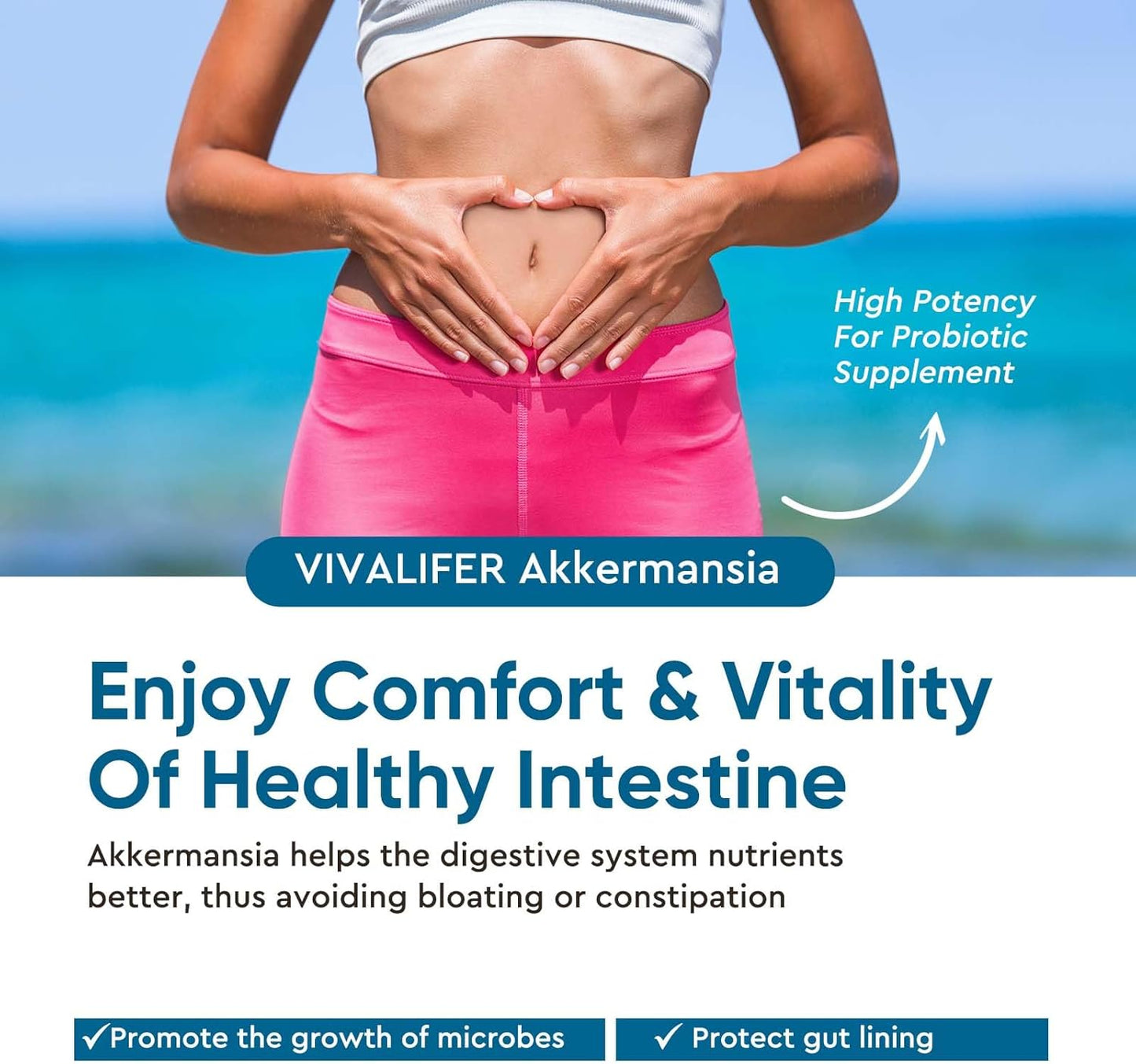 High Strength Akkermansia Probiotic Supplement - 300 Billion AFU Live Strain - Supports Gut & Immune Health - Increases GLP-1 Production - 120 Capsules