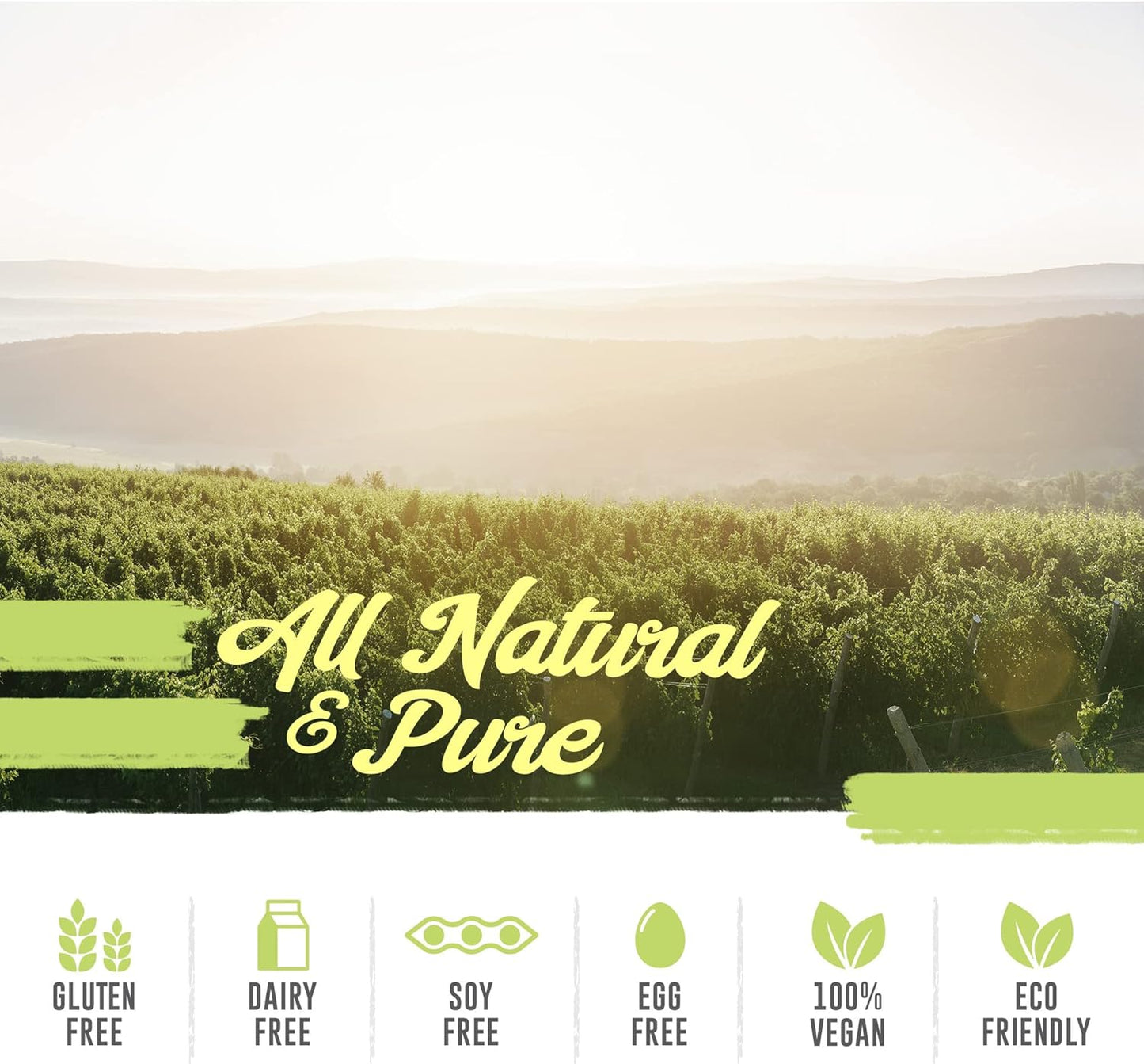 High Strength All Natural Resveratrol Supplement - 1200mg Daily - 90% Extract Trans Resveratrol - 30 Day Supply