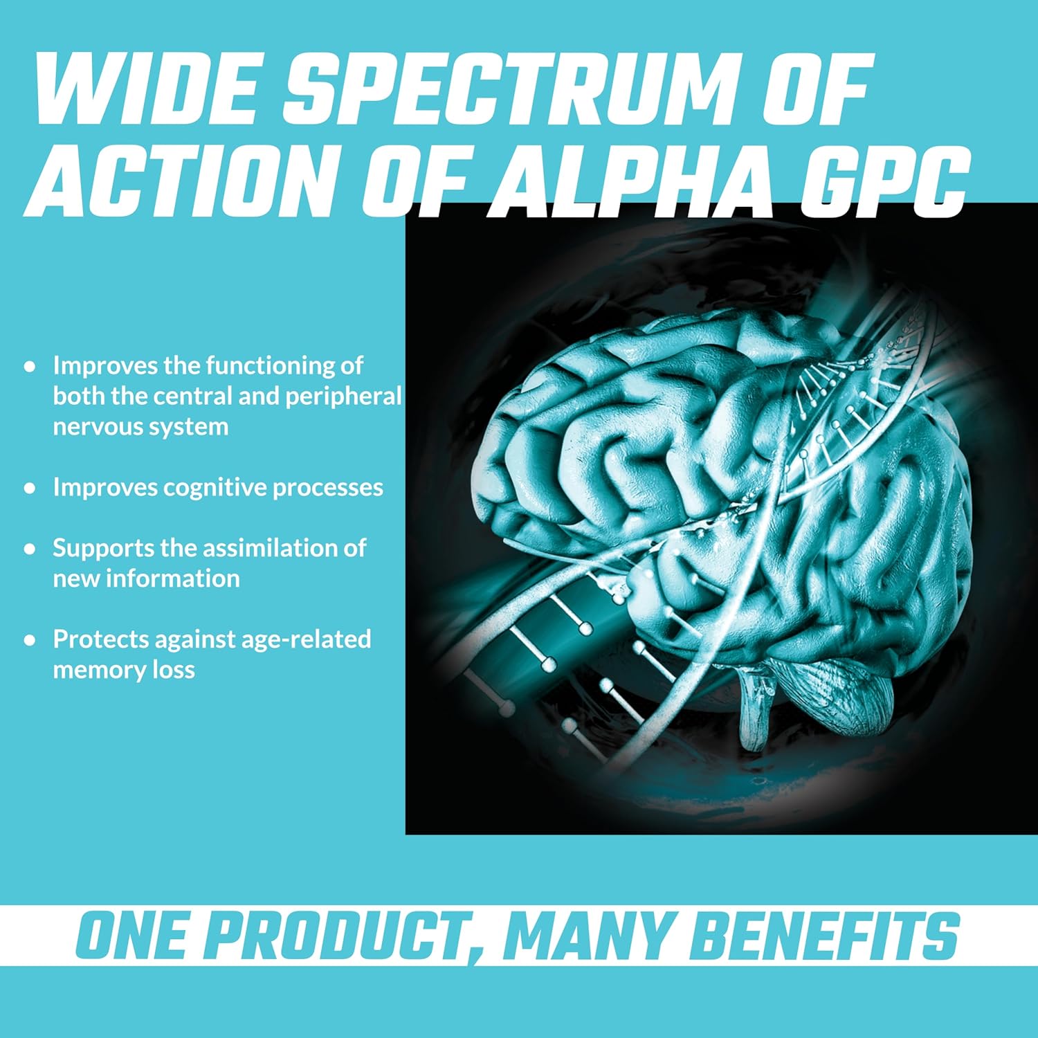 High Strength Alpha-GPC 600mg - 90 Vegan Choline Capsules for Memory and Concentration - 99% Choline Alfoscerate Dietary Supplement