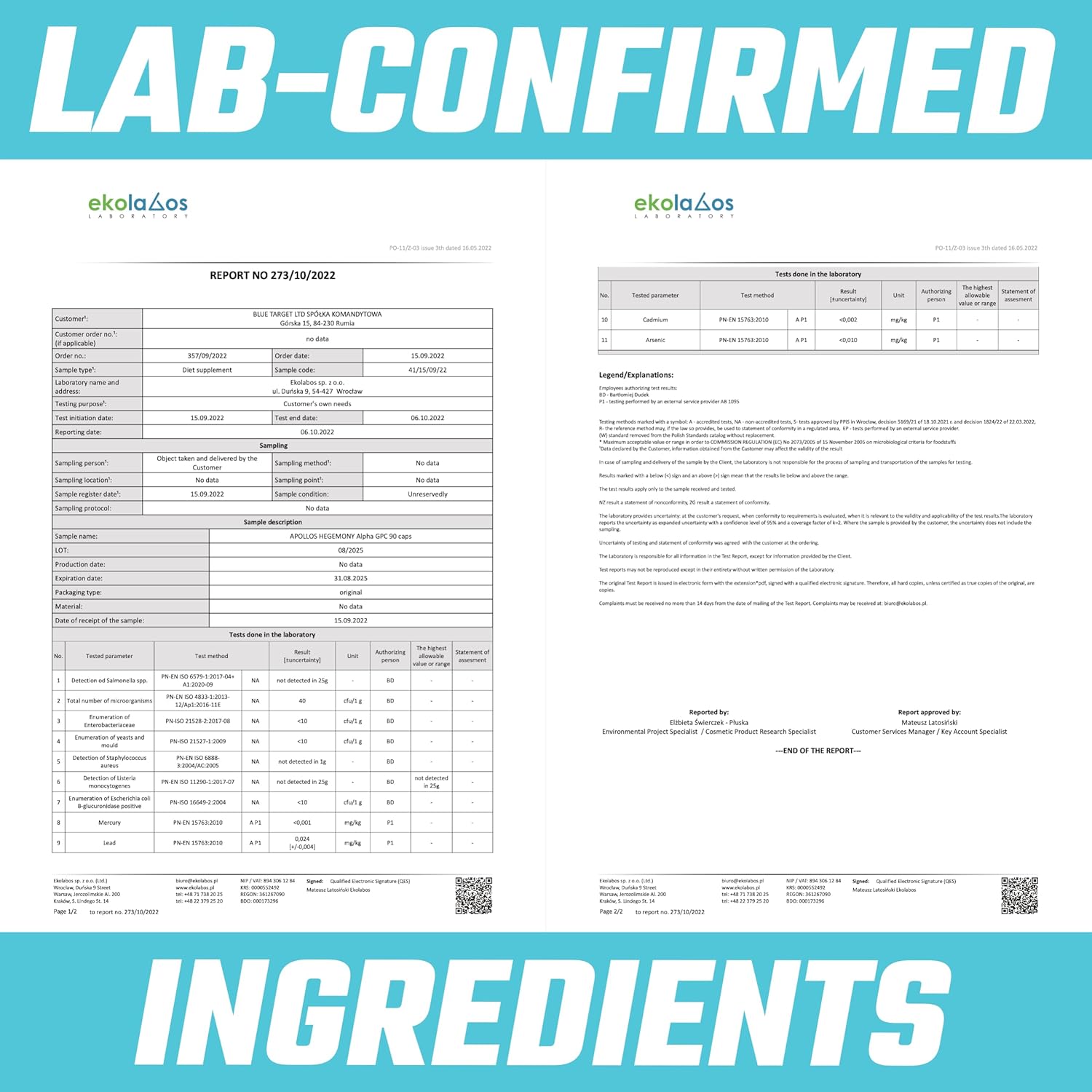 High Strength Alpha-GPC 600mg - 90 Vegan Choline Capsules for Memory and Concentration - 99% Choline Alfoscerate Dietary Supplement