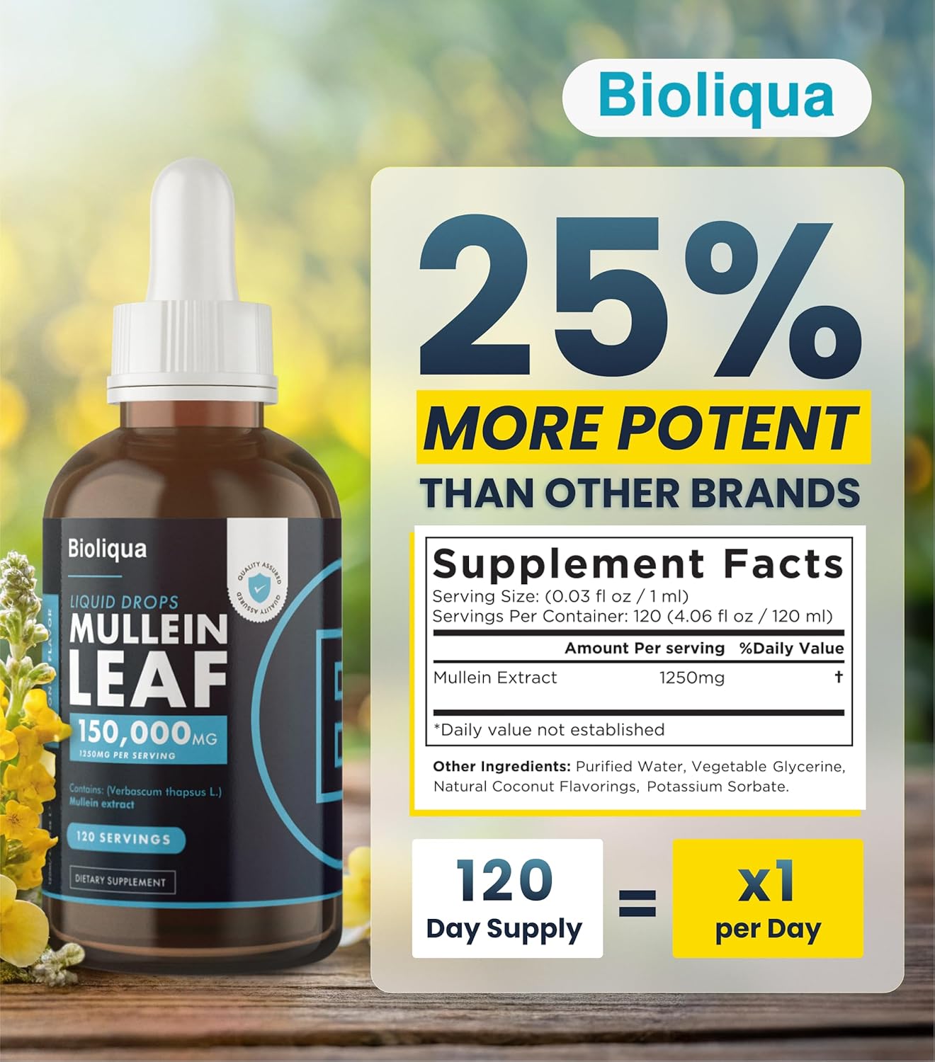 High Strength Balance ™ Bioliqua Mullein Drops for Lungs - 150,000mg per 4oz Tincture - 120 Servings - Lung Detox & Bronchial Cleanse - Coconut Flavor