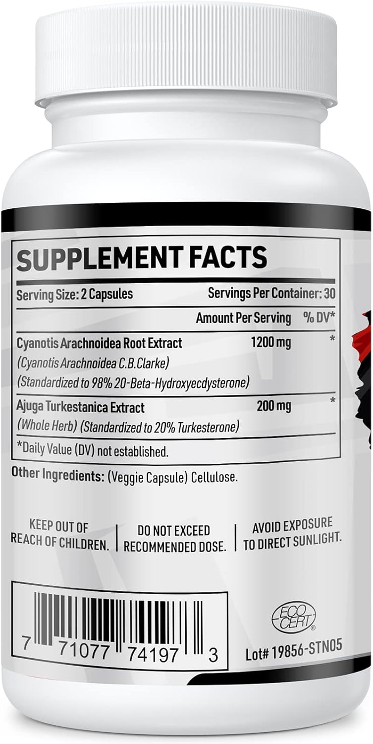 High Strength Beta Ecdysterone & Turkesterone Supplements - 1400mg, 98% Beta Ecdysterone, 20% Turkesterone Extract - Muscle Mass, Strength, Protein Synthesis - 120 Capsules