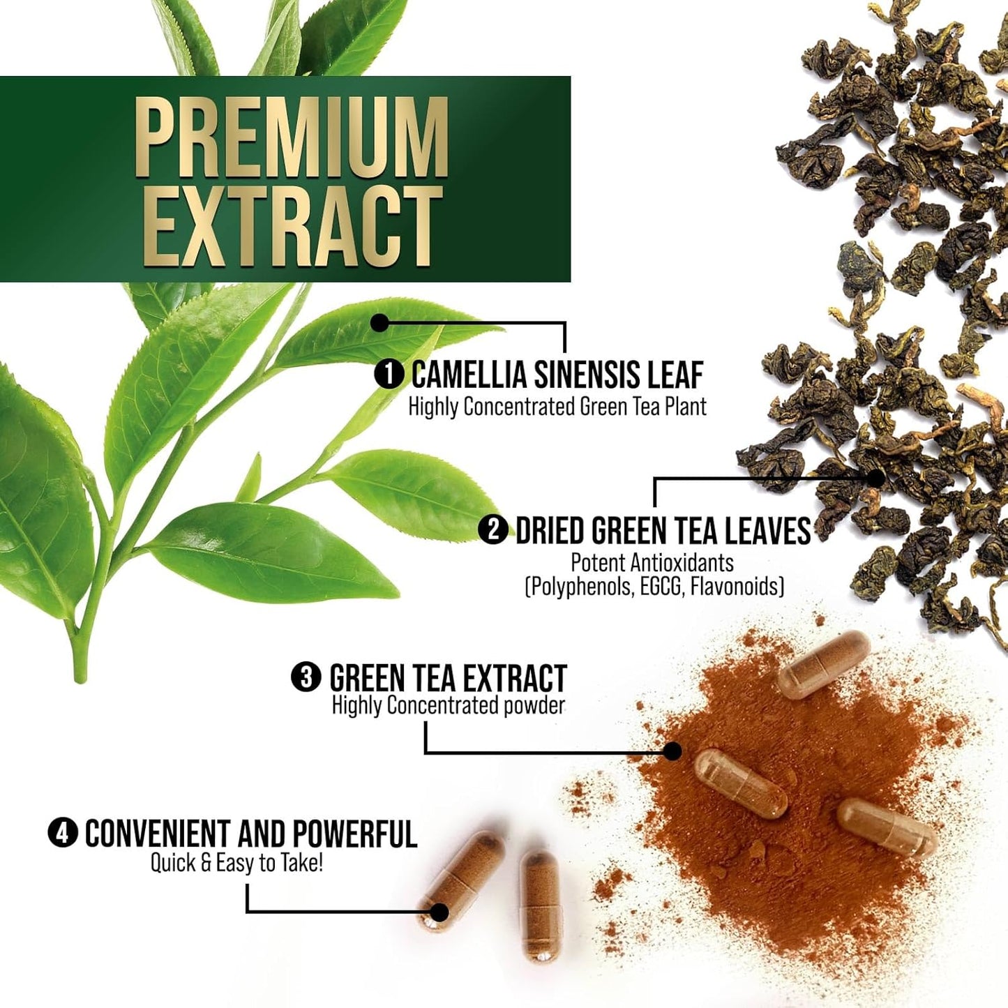 High Strength Green Tea Extract Capsules - 1000mg with 98% EGCG - Natural Energy Boost & Heart Support - 240 Capsules