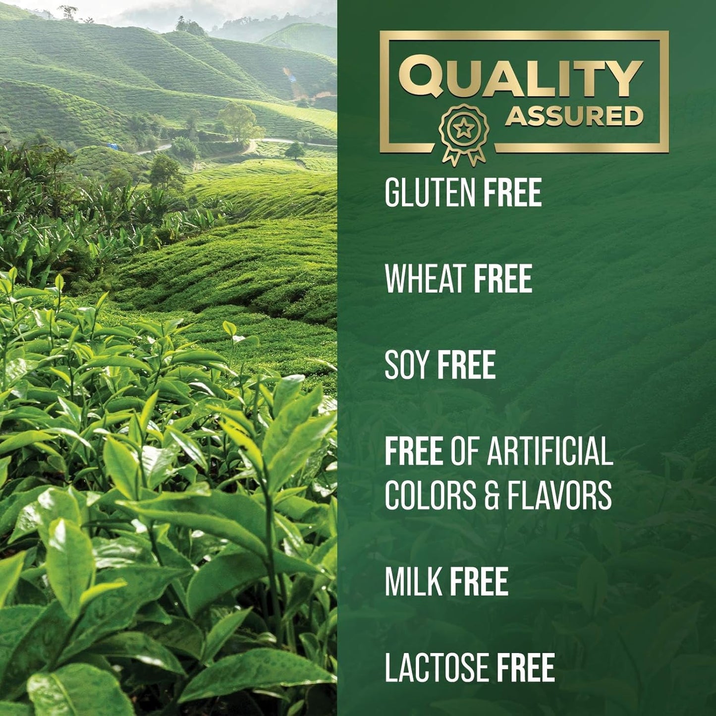 High Strength Green Tea Extract Capsules - 1000mg with 98% EGCG - Natural Energy Boost & Heart Support - 240 Capsules