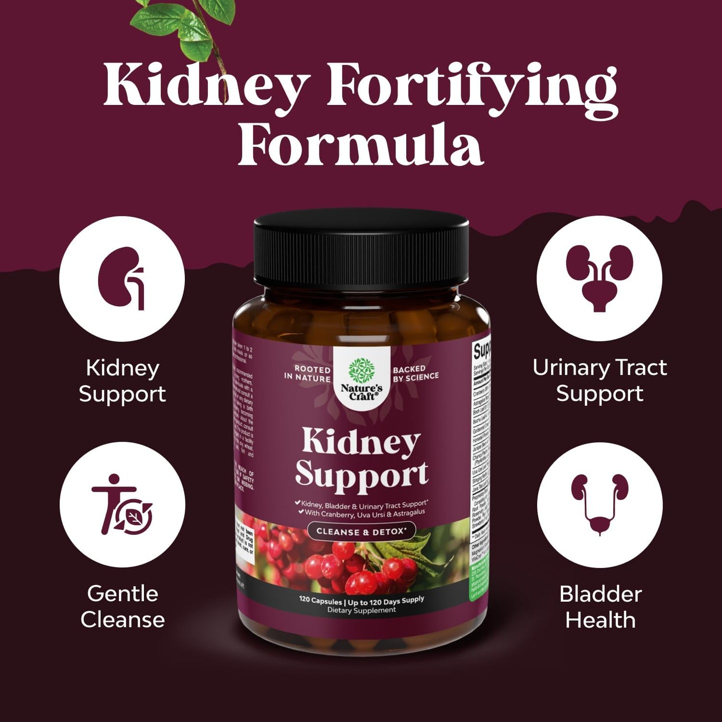 High Strength Kidney Cleanse & Detox Supplement with Cranberry for Women & Men - Supports Bladder Health - Non-GMO Vegan Formula