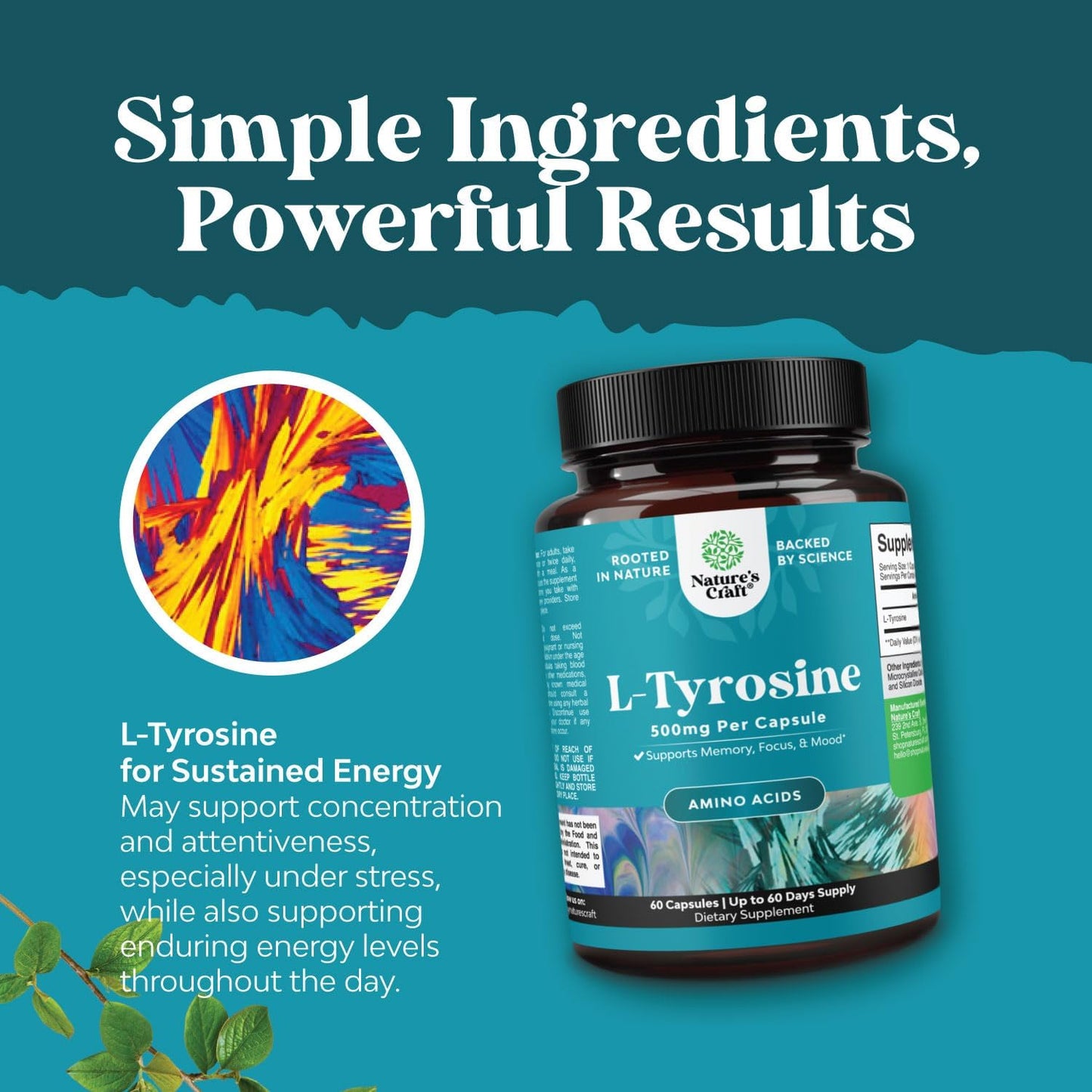 High Strength L-Tyrosine Supplement for Mental Energy and Focus Support - Natures Craft Free Form L Tyrosine 500mg Capsules - Amino Acid Nootropic for Mood Focus Attention and Cognition - 60 Count