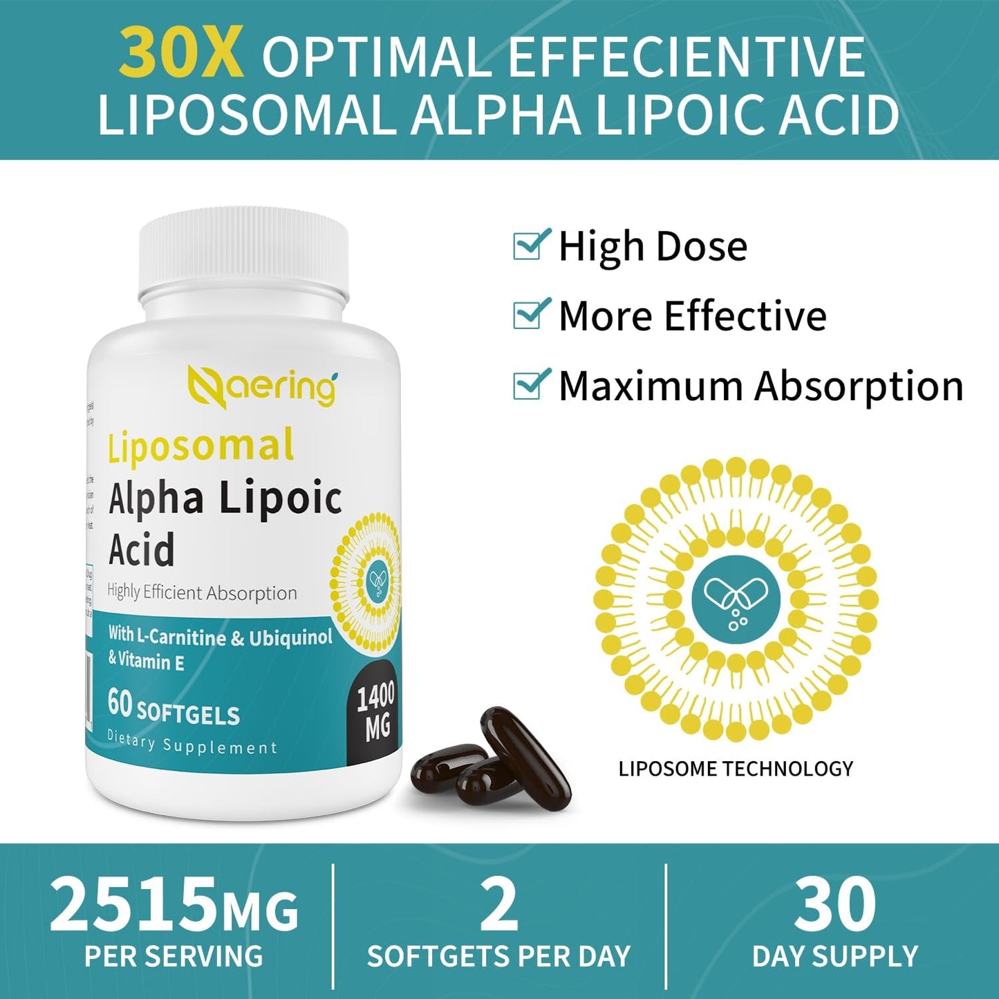 High Strength Liposomal Alpha Lipoic Acid Softgels with L-Carnitine, Ubiquinol, and Vitamin E for Antioxidants and Energy - 120 Softgels