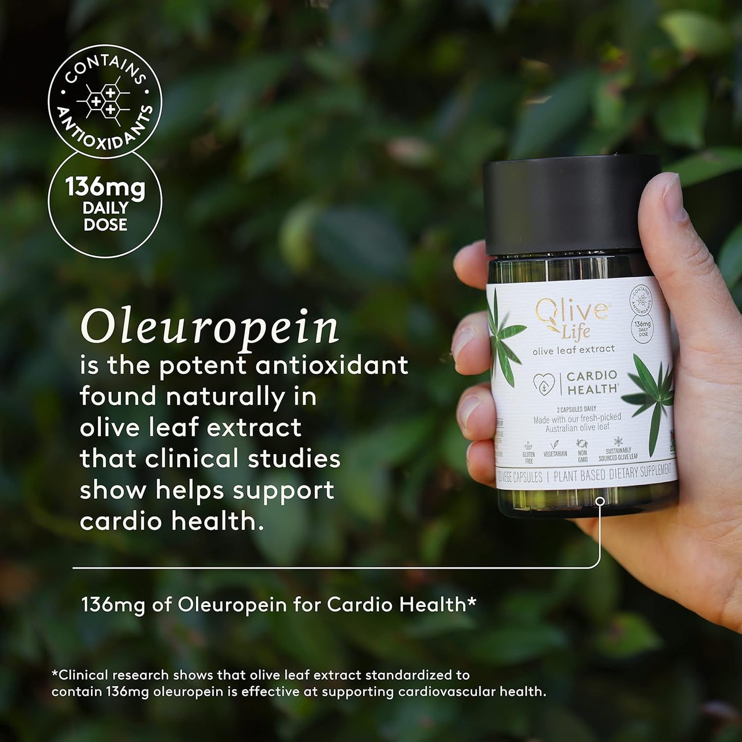 High Strength Natural Olive Leaf Extract Vegetable Capsules - 30 Count, Rich in Oleuropein & Polyphenols