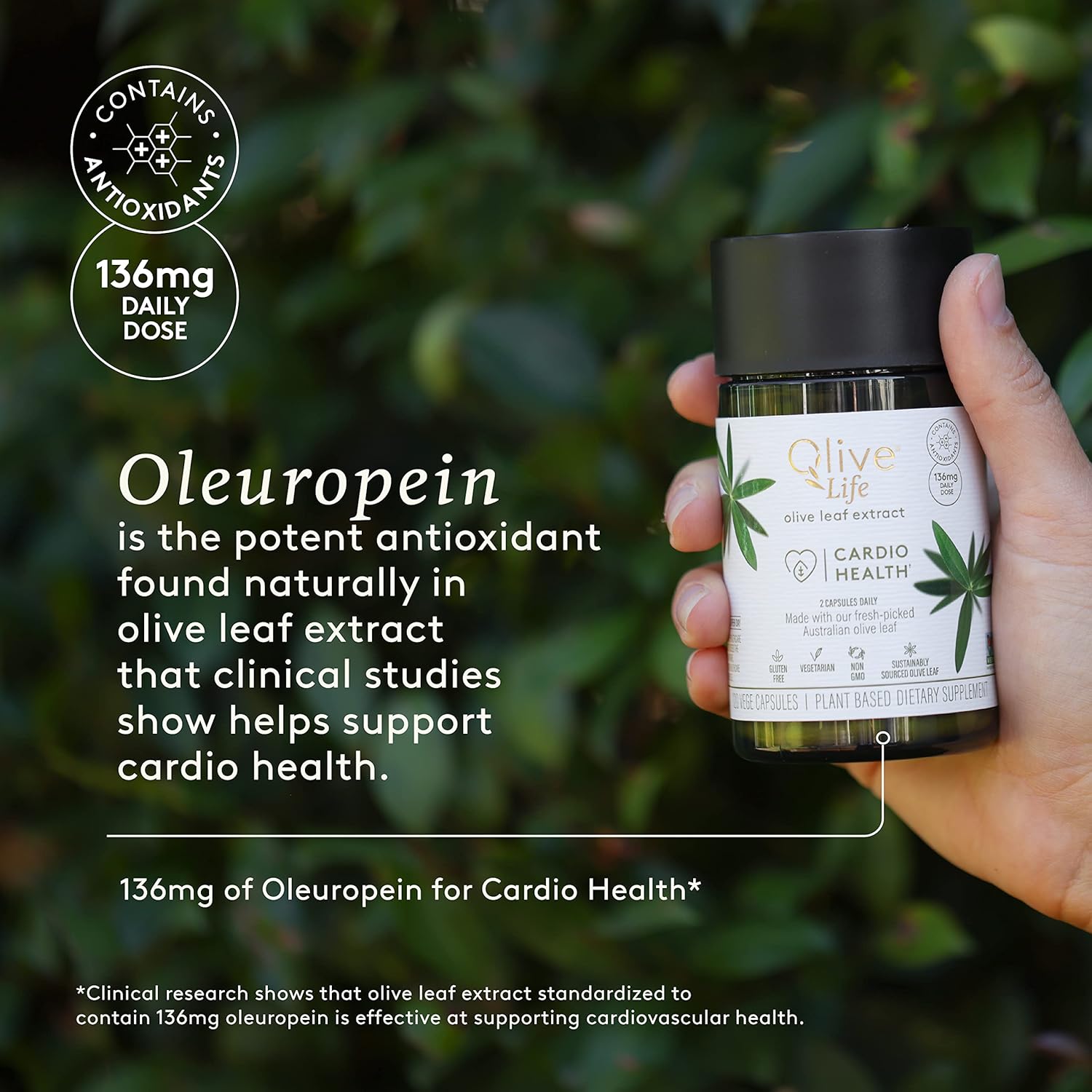 High Strength Natural Olive Leaf Extract Vegetable Capsules - 30 Count, Rich in Oleuropein & Polyphenols