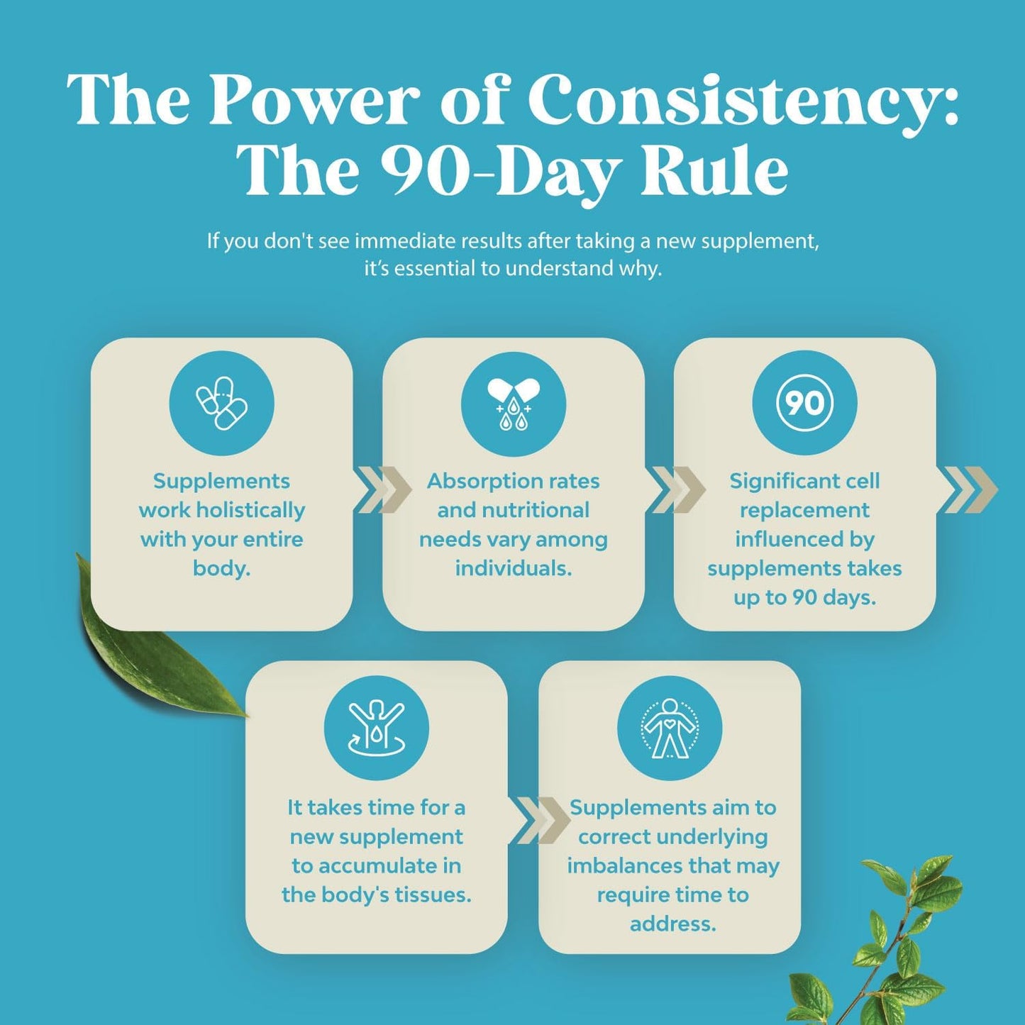 High Strength Natures Craft DHEA 50mg Supplement for Hormone Balance in Men and Women - Enhanced Energy - 4 Month Supply