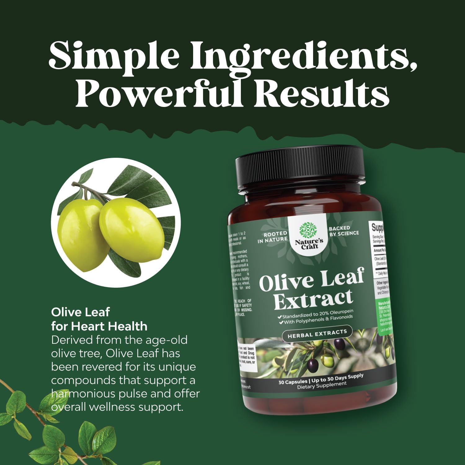 High Strength Olive Leaf Extract Capsules with 20% Oleuropein - Herbal Antioxidant for Heart Health - Vegan Non-GMO Supplement