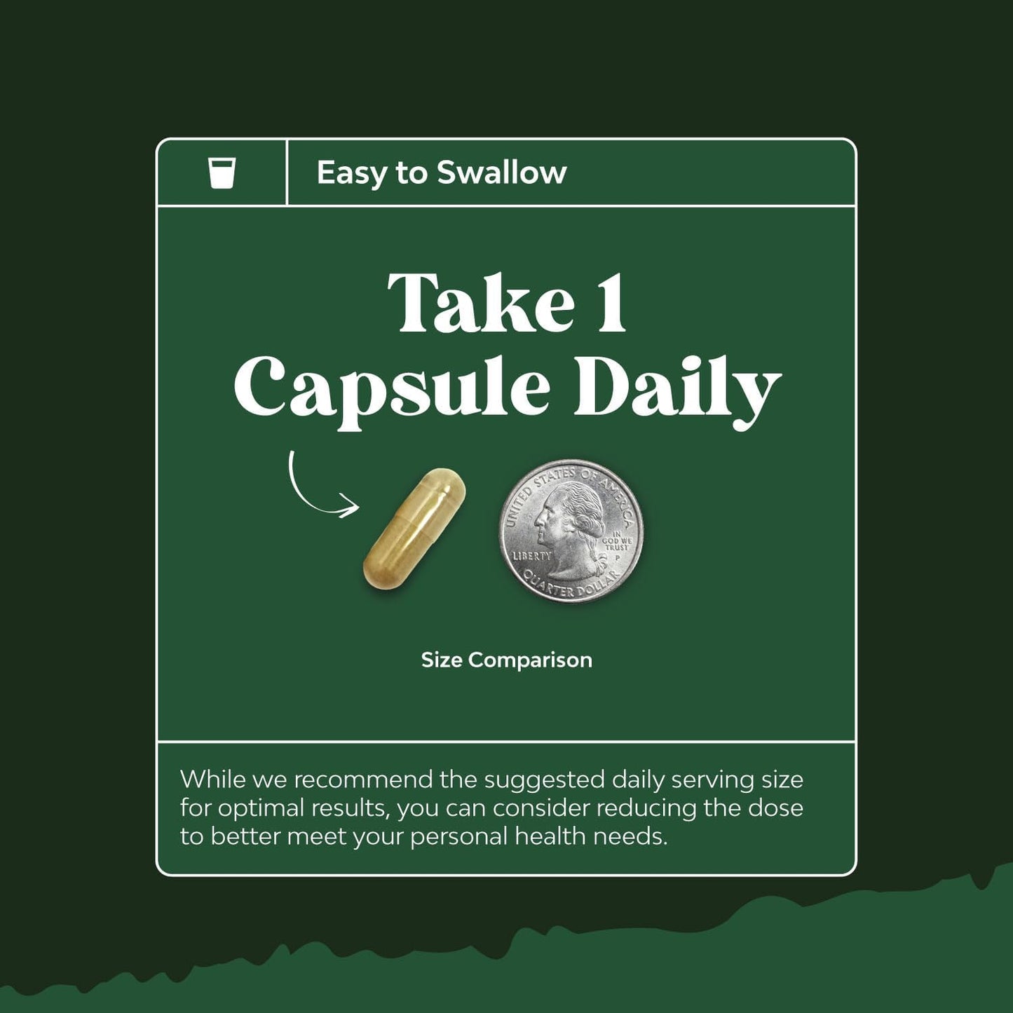 High Strength Olive Leaf Extract Capsules with 20% Oleuropein - Herbal Antioxidant for Heart Health - Vegan Non-GMO Supplement