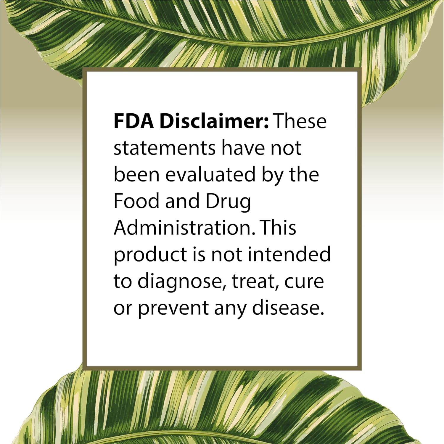 High Strength Vitamin D3 5000 IU Soft Gels with Organic Olive Oil for Sensitive Stomachs - USA Made Supplement for Women & Men