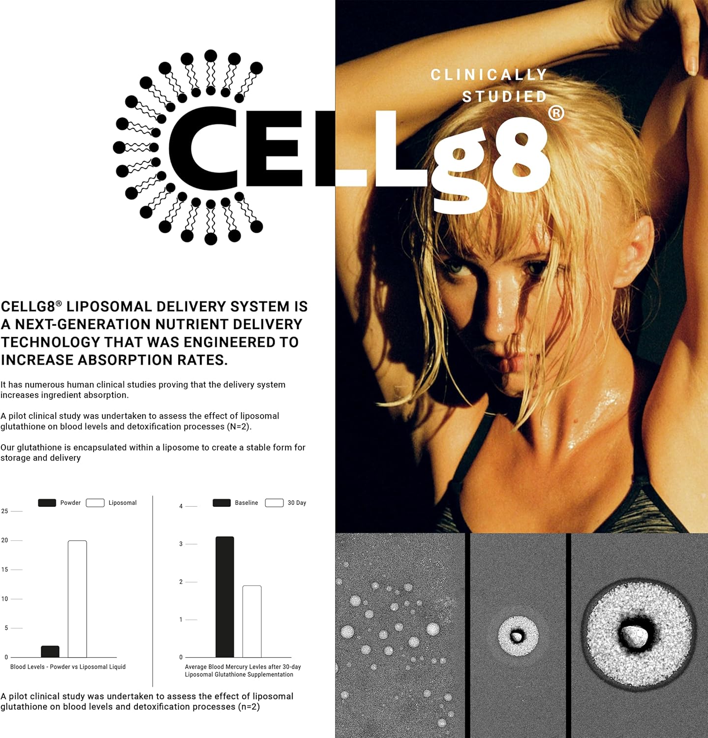 High Strength Wild Berry Flavored Liposomal Glutathione Liquid - 4 fl oz - Lab Tested for Enhanced Absorption - Third-Party Tested for Quality