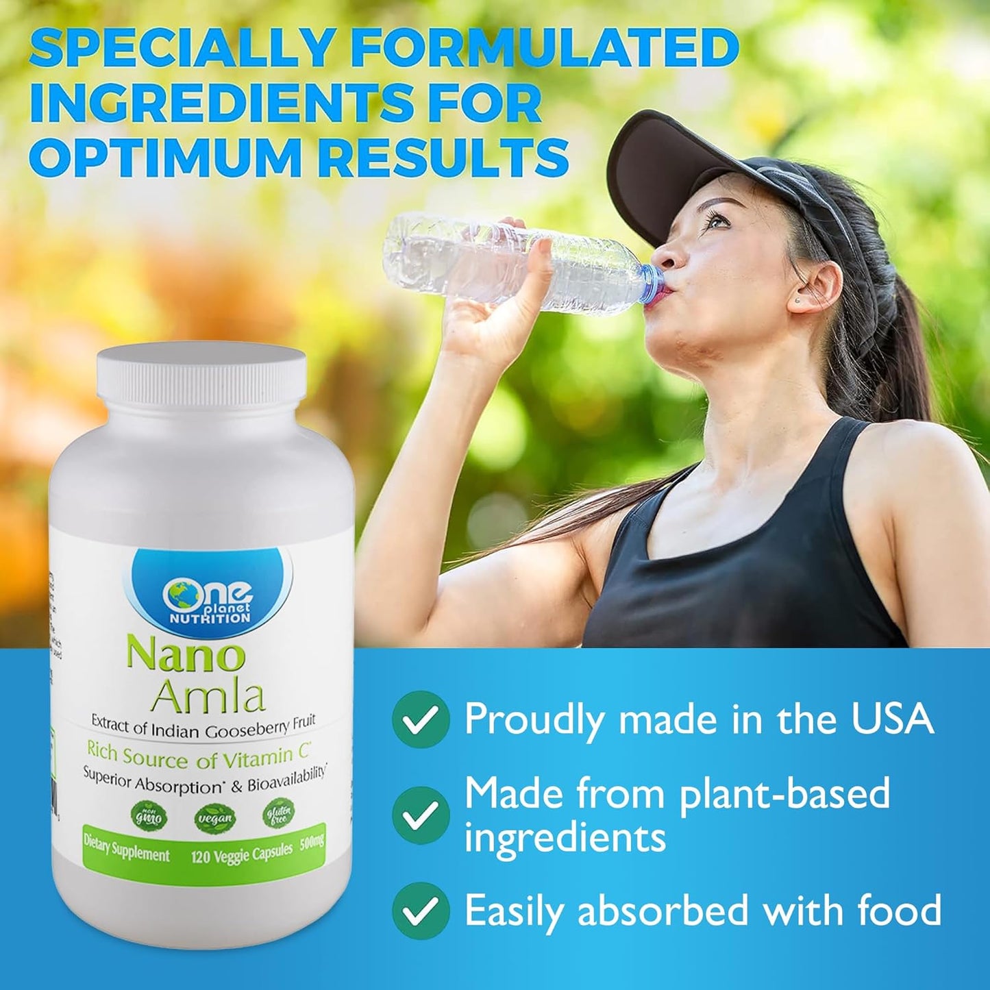 High Vitamin C Amla Fruit Extract Capsules for Immune Support - 120 Servings