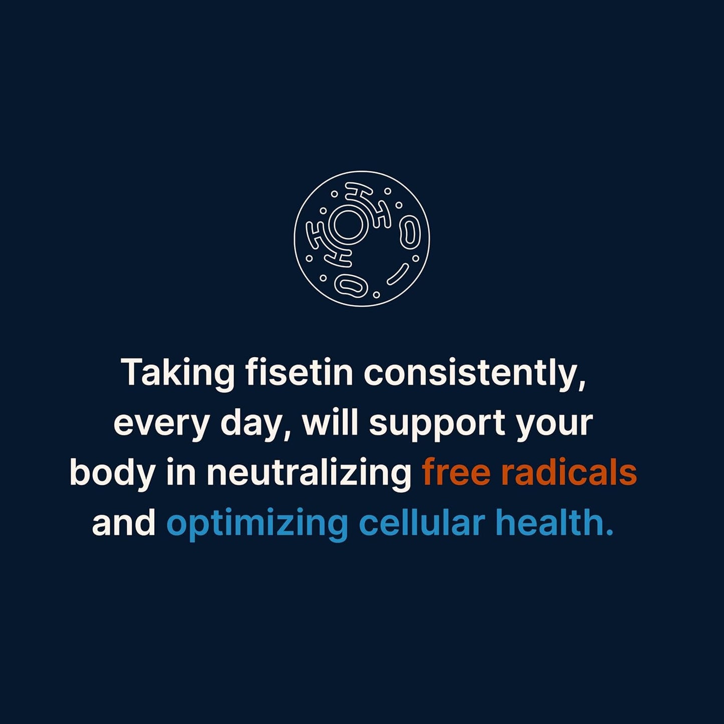 Highly Absorbable Fisetin Supplements with Powerful Antioxidant Benefits - 125mg X 60 Servings (3 Pack)