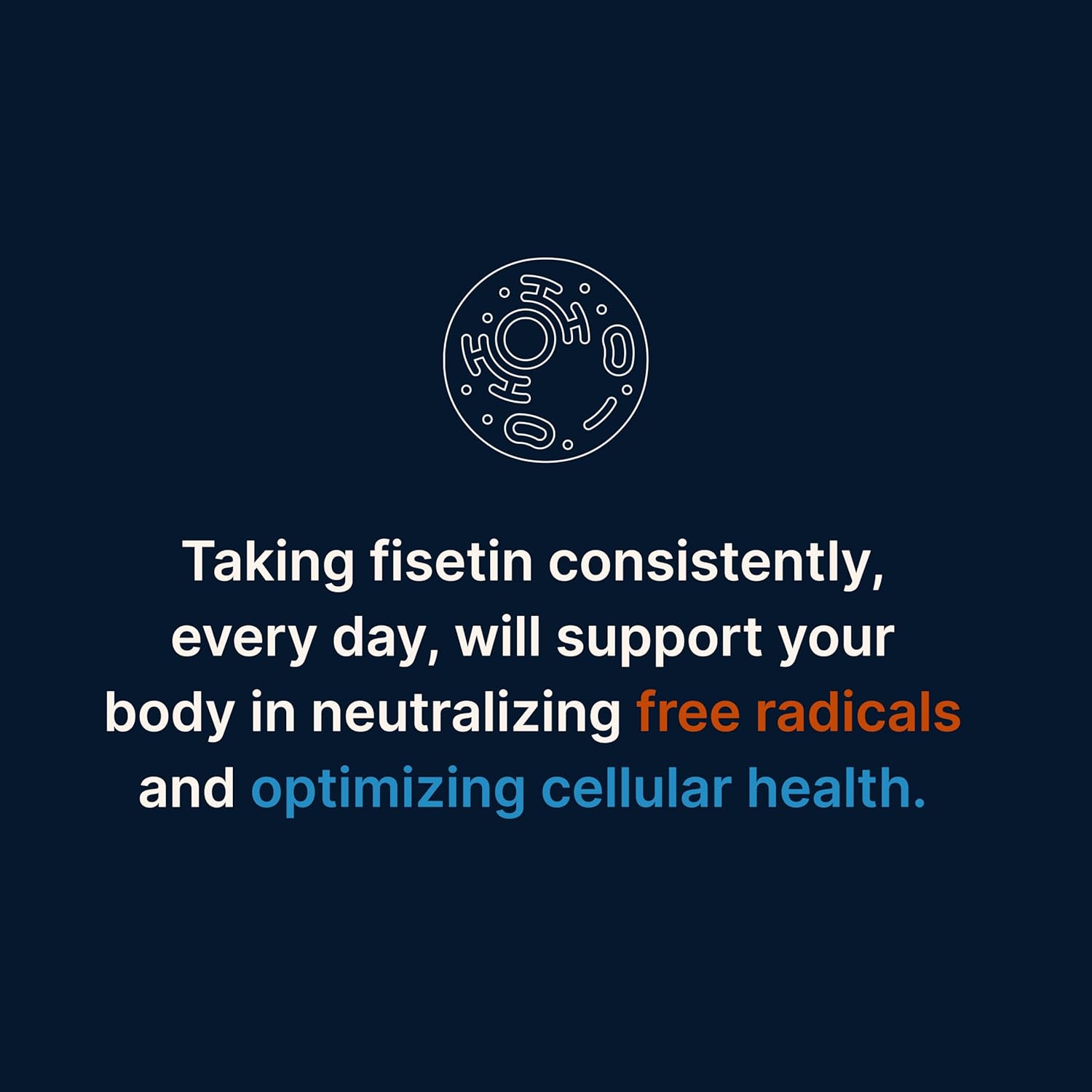 Highly Absorbable Fisetin Supplements with Powerful Antioxidant Benefits - 125mg X 60 Servings (3 Pack)