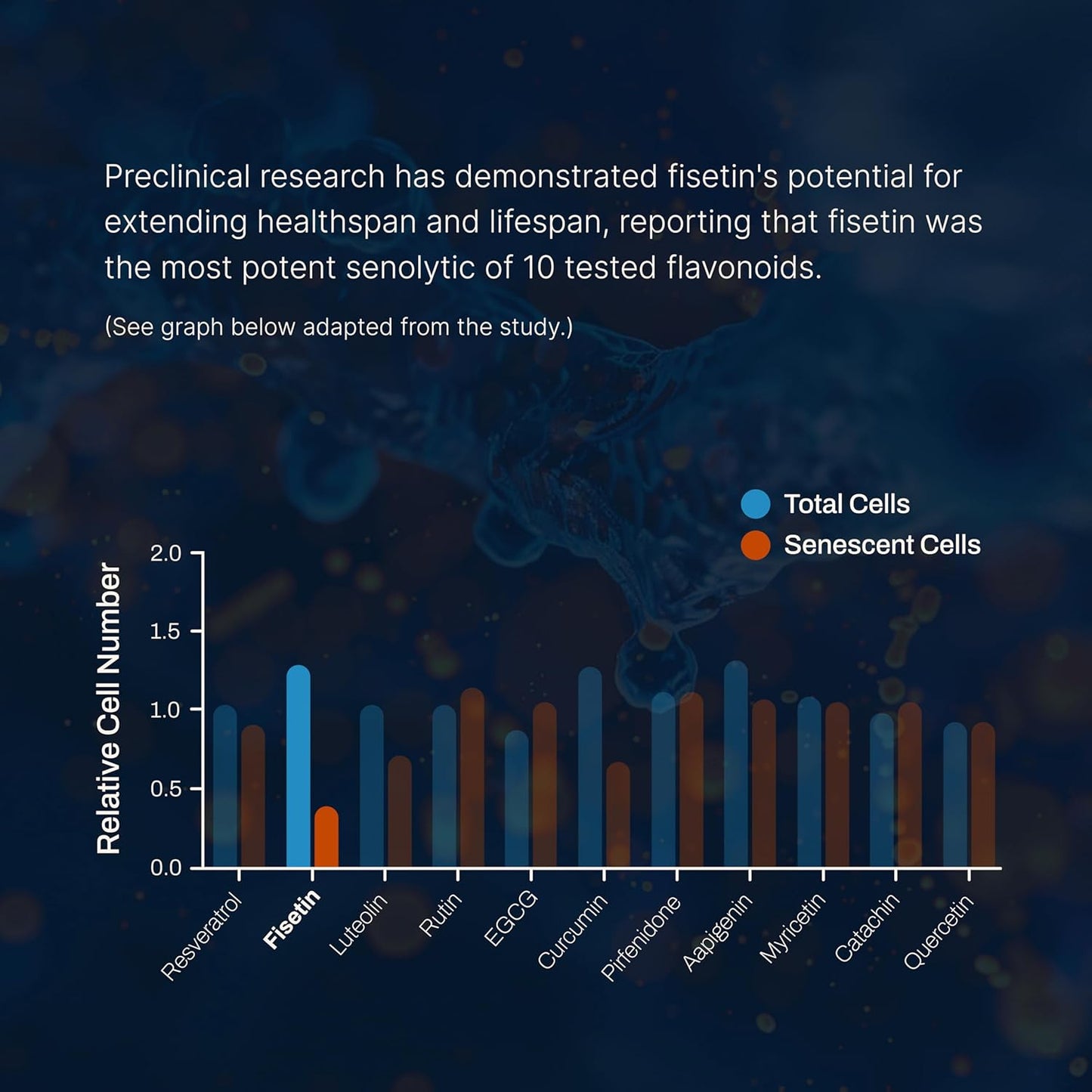 Highly Absorbable Fisetin Supplements with Powerful Antioxidant Benefits - 125mg X 60 Servings (3 Pack)