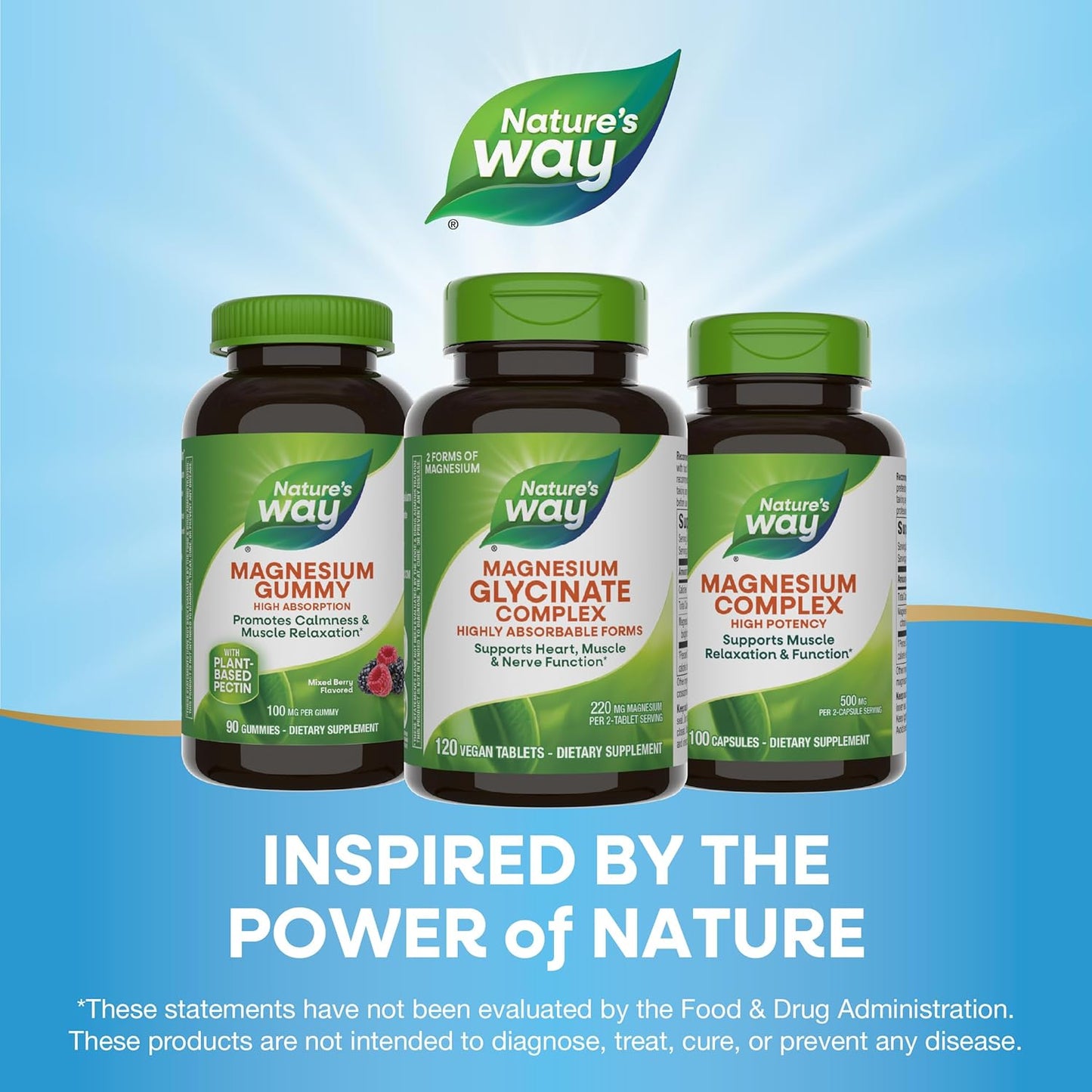 Highly Absorbable Nature's Way Magnesium Glycinate Complex for Heart, Muscle, Nerve Function - 120 Tablets