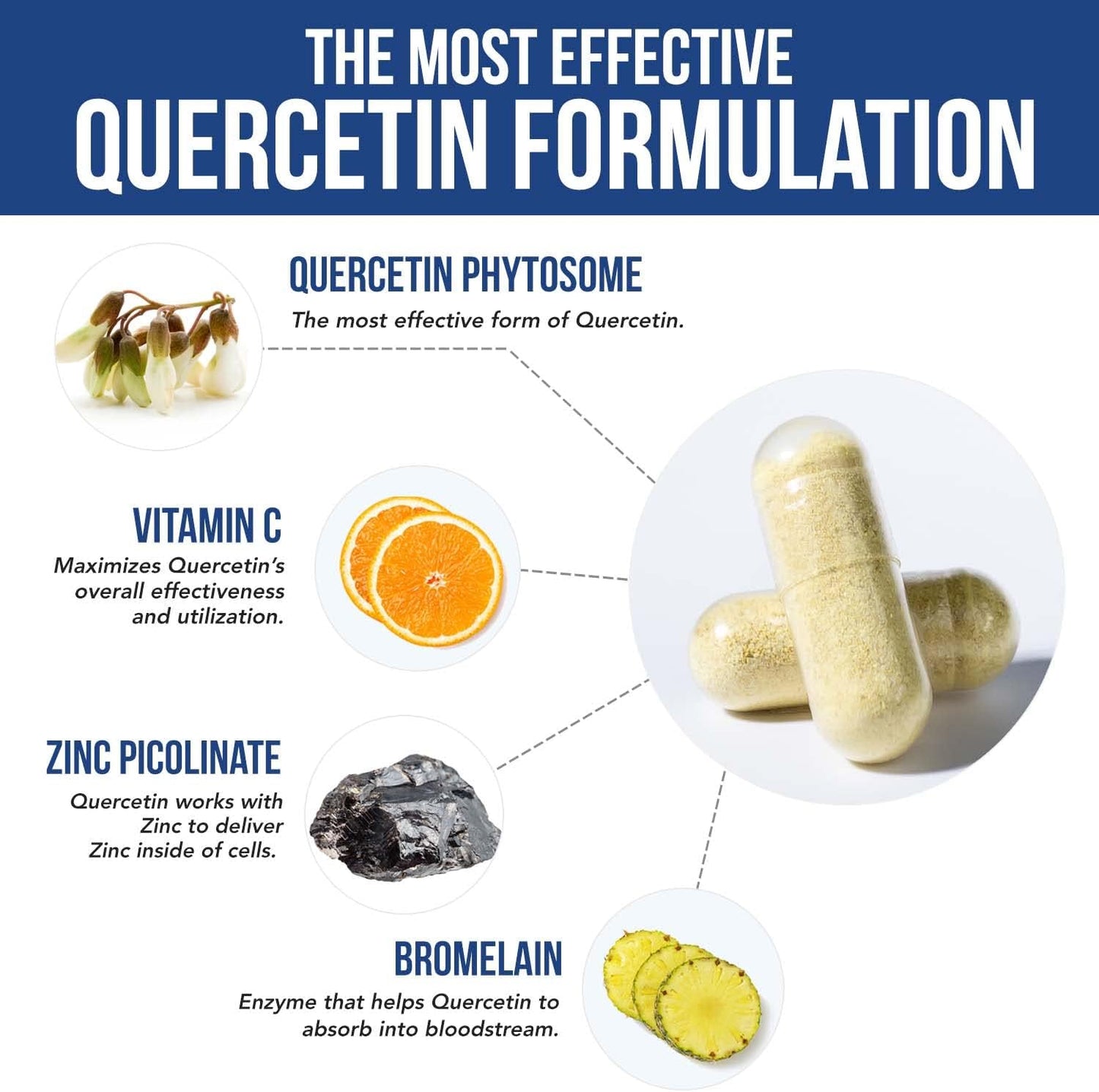 Highly Absorbable Quercetin Phytosome with Bromelain, Zinc & Vitamin C - 60 Capsules - Clinically Proven & Patented Formula by Triquetra Health