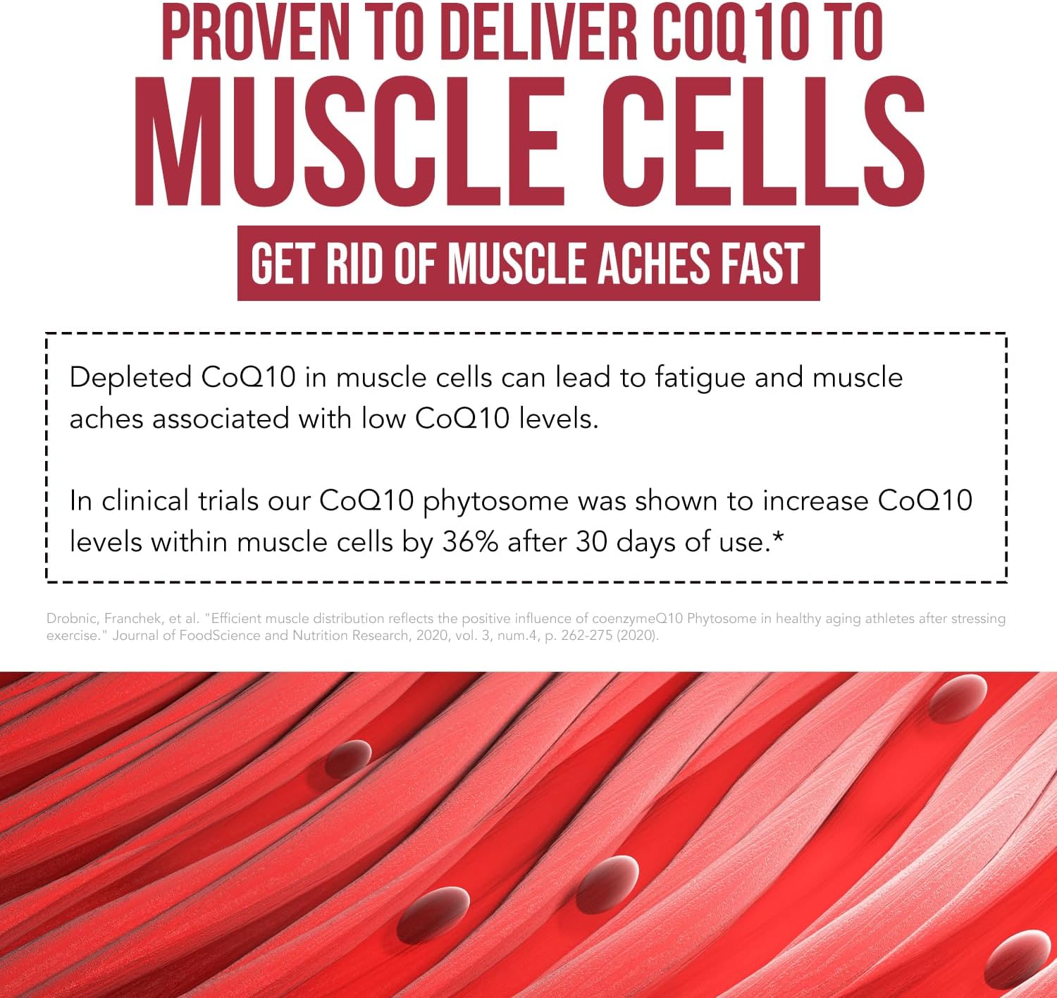 Highly Absorbable Triquetra Health SoActive CoQ10® 250 mg Capsules for Cellular Energy Production - Enhanced CoQ10 Phytosome Formula (60 Count)