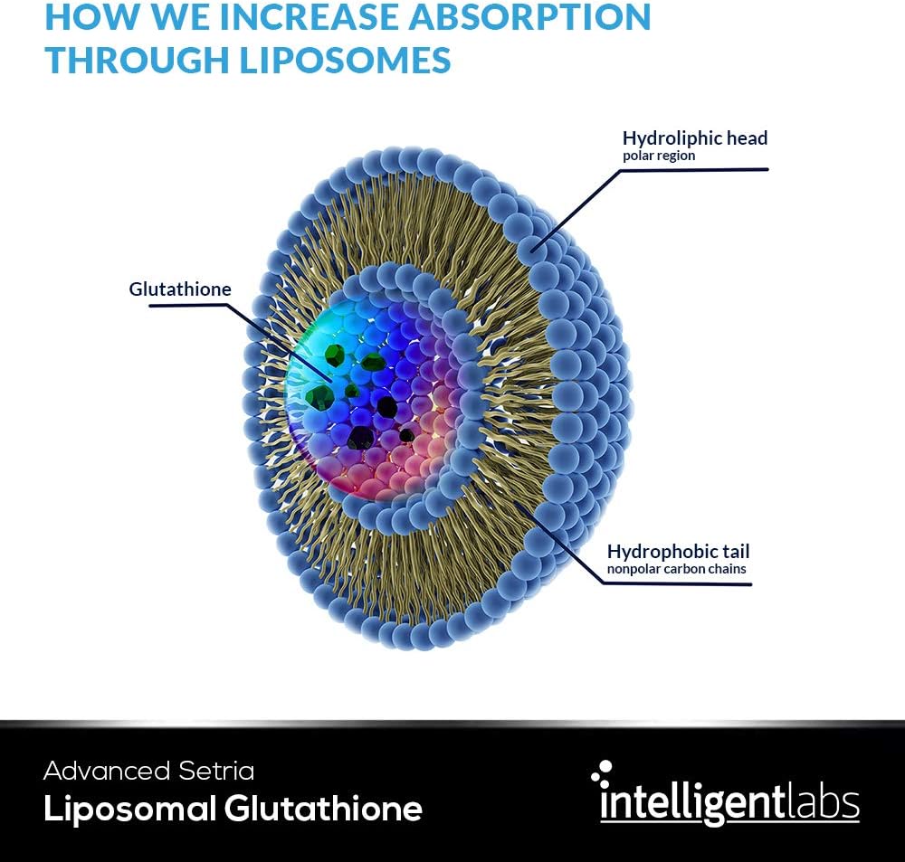 Highly Advanced Liposomal Glutathione Liquid Supplement - 500MG per Serving Organic Antioxidant with Reduced Setria - 30 Servings