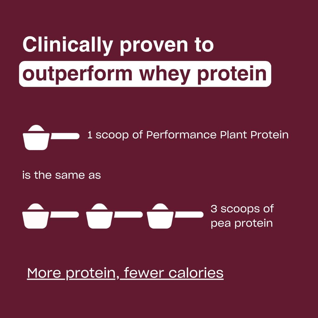 Highly Bioavailable Chocolate Plant Protein Powder for Lean Muscle Support - Vegan, Gluten Free, Dairy Free - 1.2lb