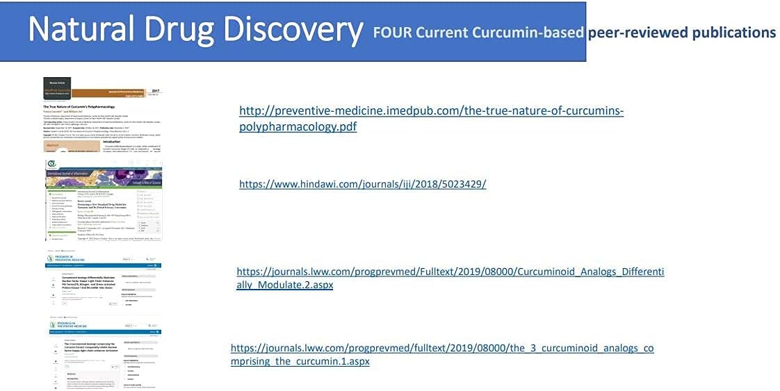 Highly Potent Next Generation BIOBDMC NovoCurcumin - 60 Capsules