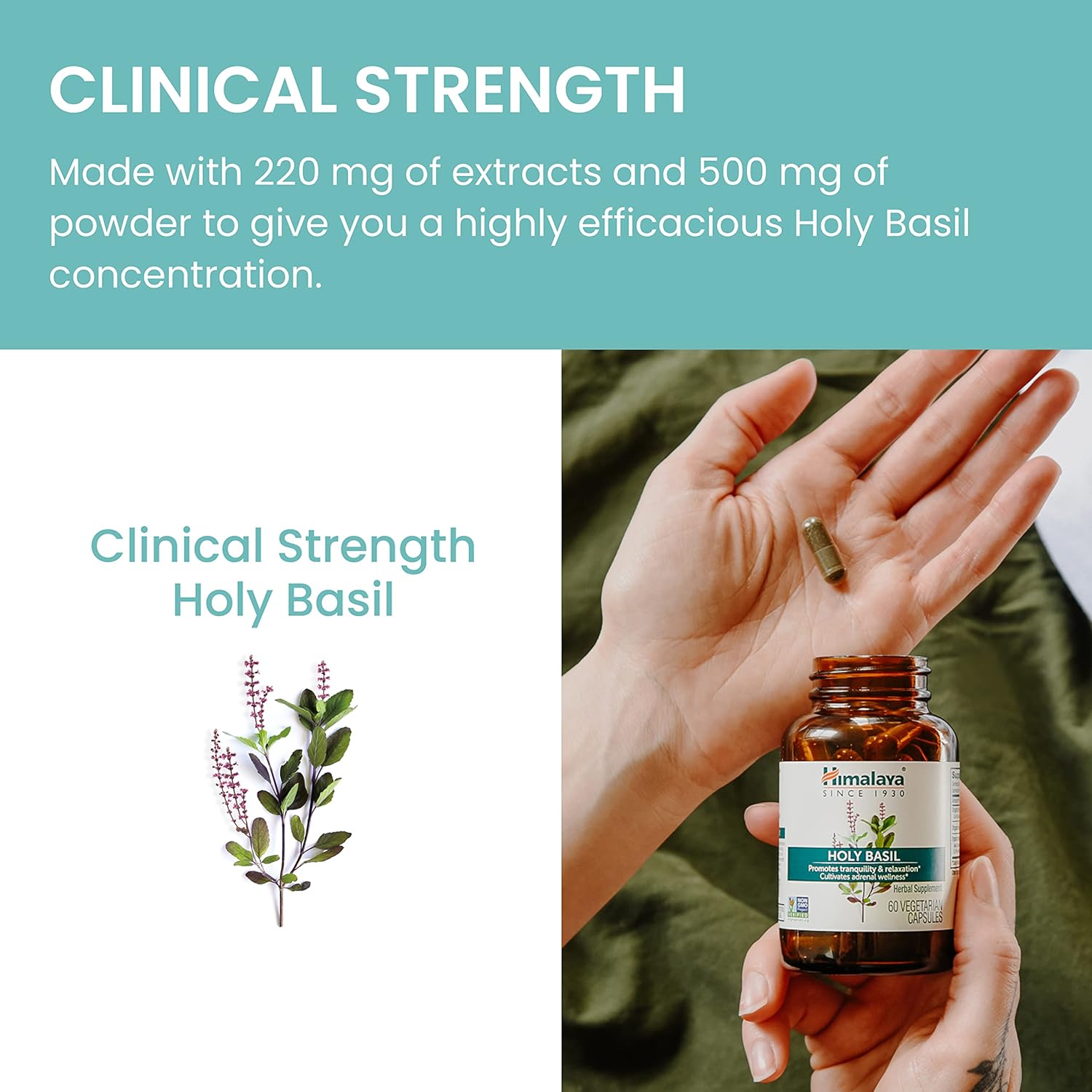 Himalaya Holy Basil Tulsi Herbal Supplement for Stress Relief & Relaxation - Non-GMO, Vegan, 60 Capsules, 30 Day Supply