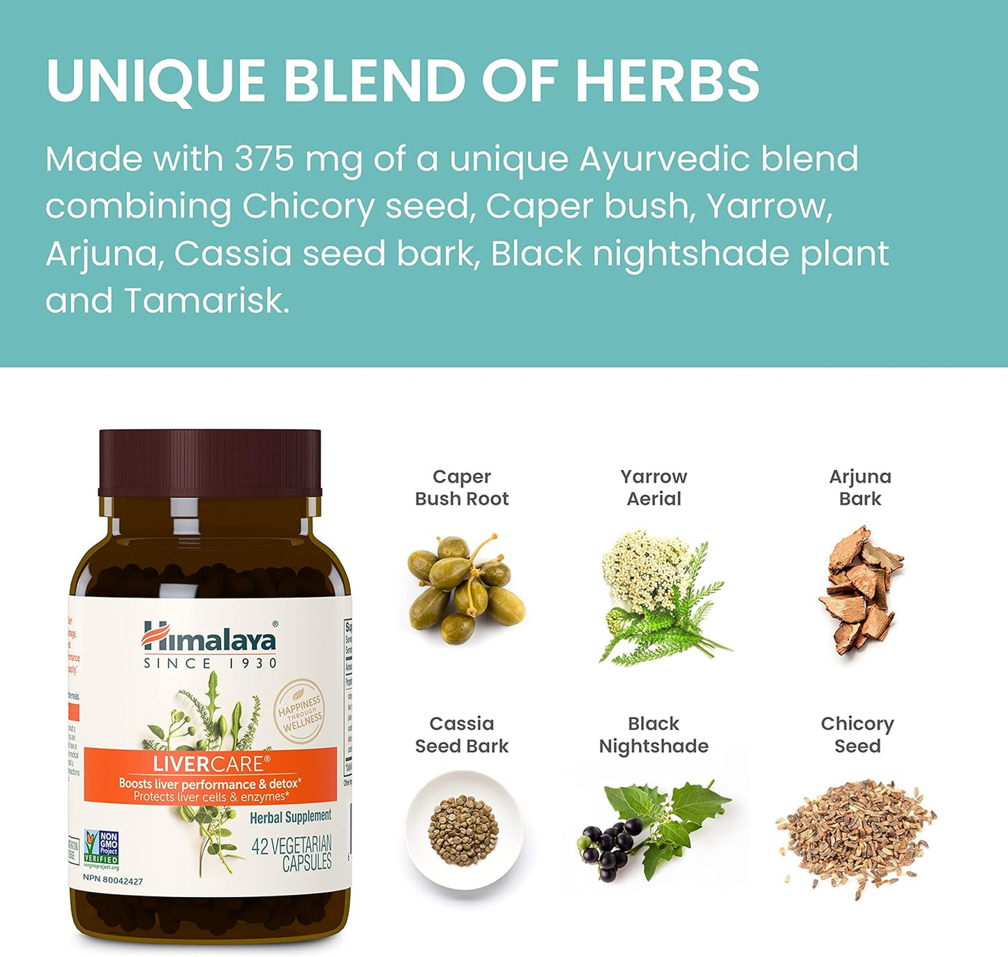 Himalaya LiverCare Herbal Supplement 375mg - Liver Cleanse & Support (2 Pack, 180 Capsules) - Vegan & Non-GMO Formula for Bile Production & Waste Elimination