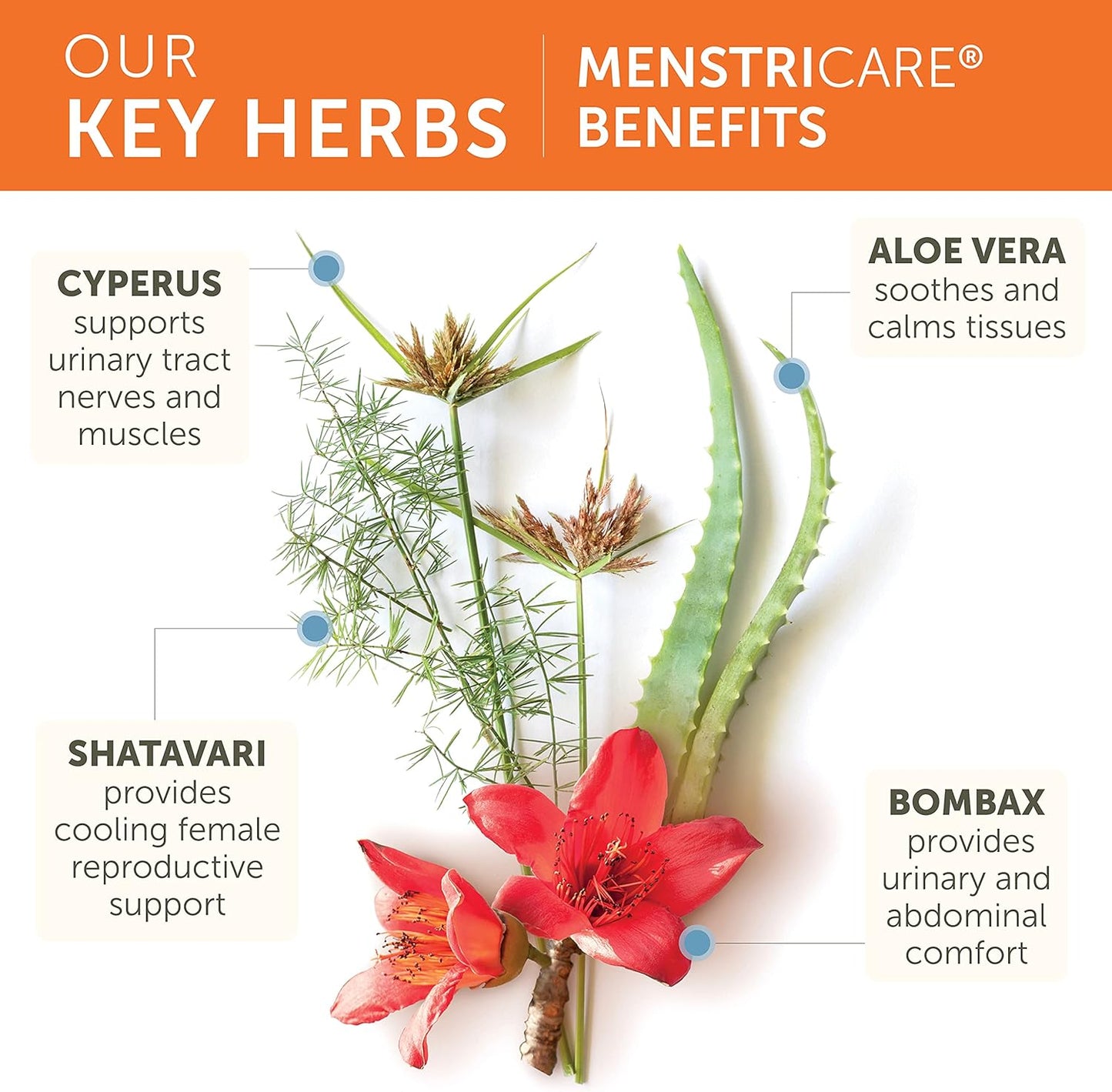 Himalaya MenstriCare Capsules for Women's Health - Menstrual Cramp Relief & Hormone Balance, 120ct