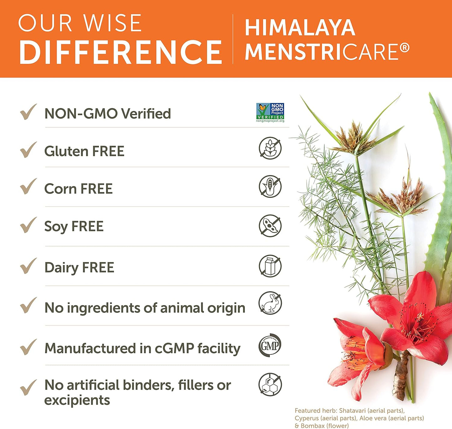 Himalaya MenstriCare Capsules for Women's Health - Menstrual Cramp Relief & Hormone Balance, 120ct