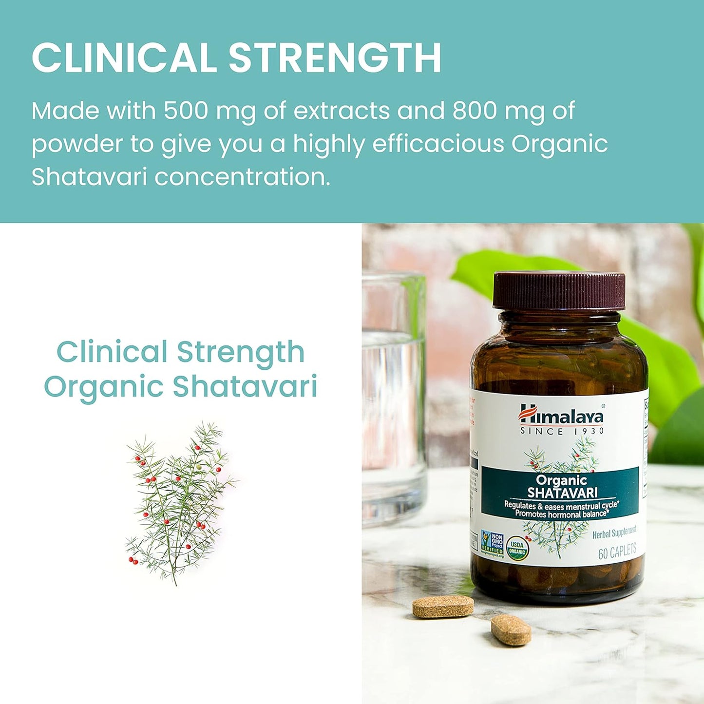 Himalaya Organic Shatavari Caplets for Women's Health - 1,300mg, 2 Month Supply - Menstrual Cramp Relief, Menopause Support - 60 Caplets x 2 Pack