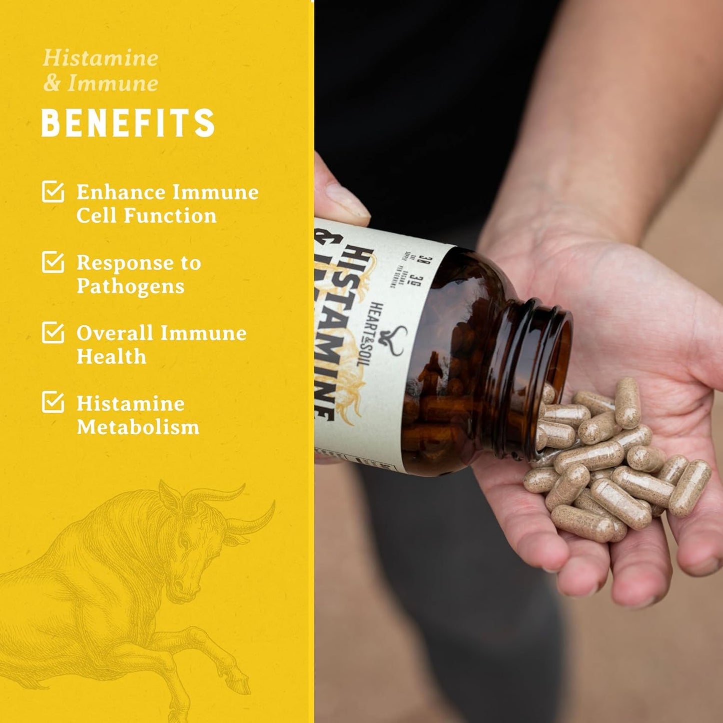 Histamine & Immune Support Supplement with Selenium, Vitamin A, and Peptides - 180 Capsules