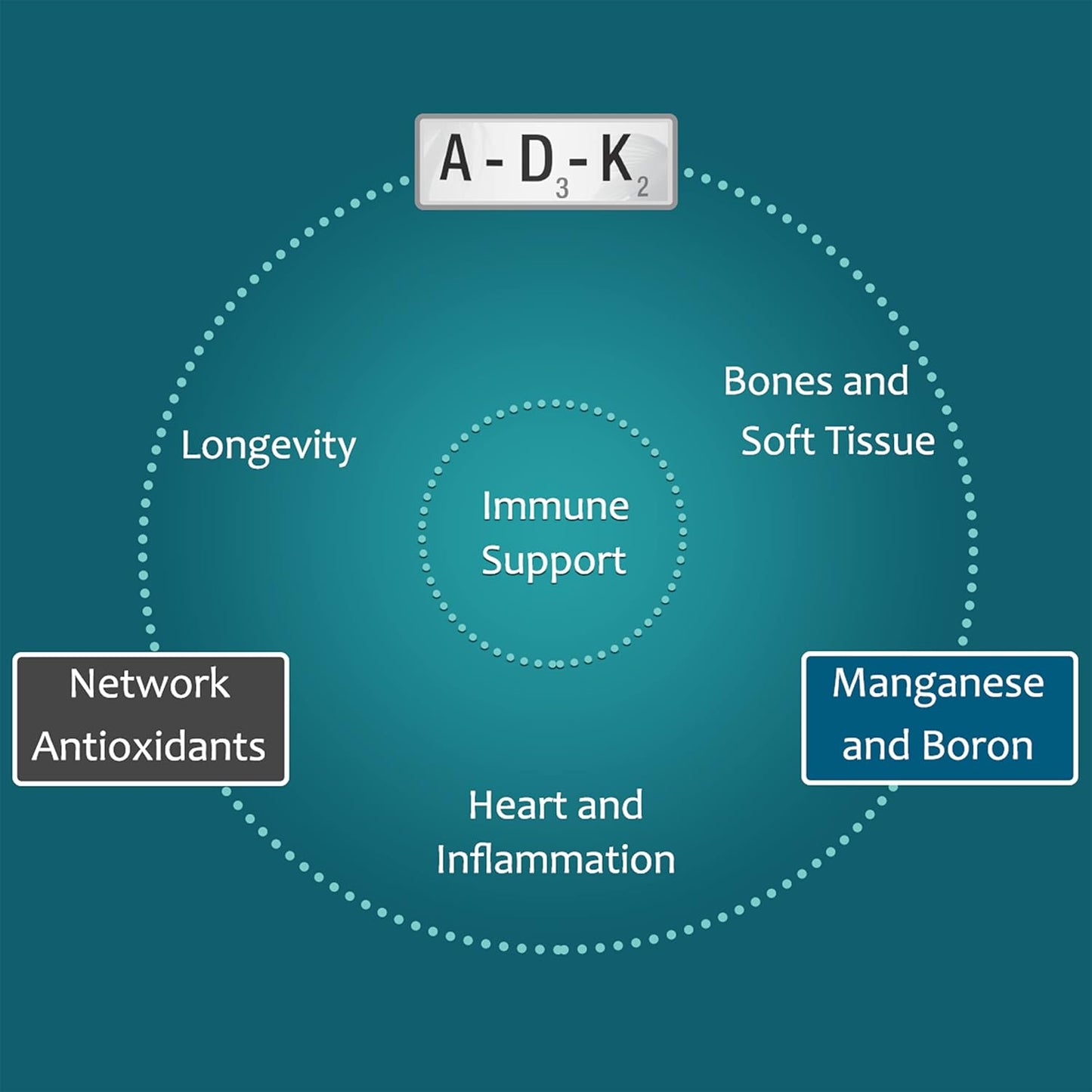 Holistic Health Support: Zen Haus Iodine and ADK - Boost Your Wellness with This Synergistic Combination