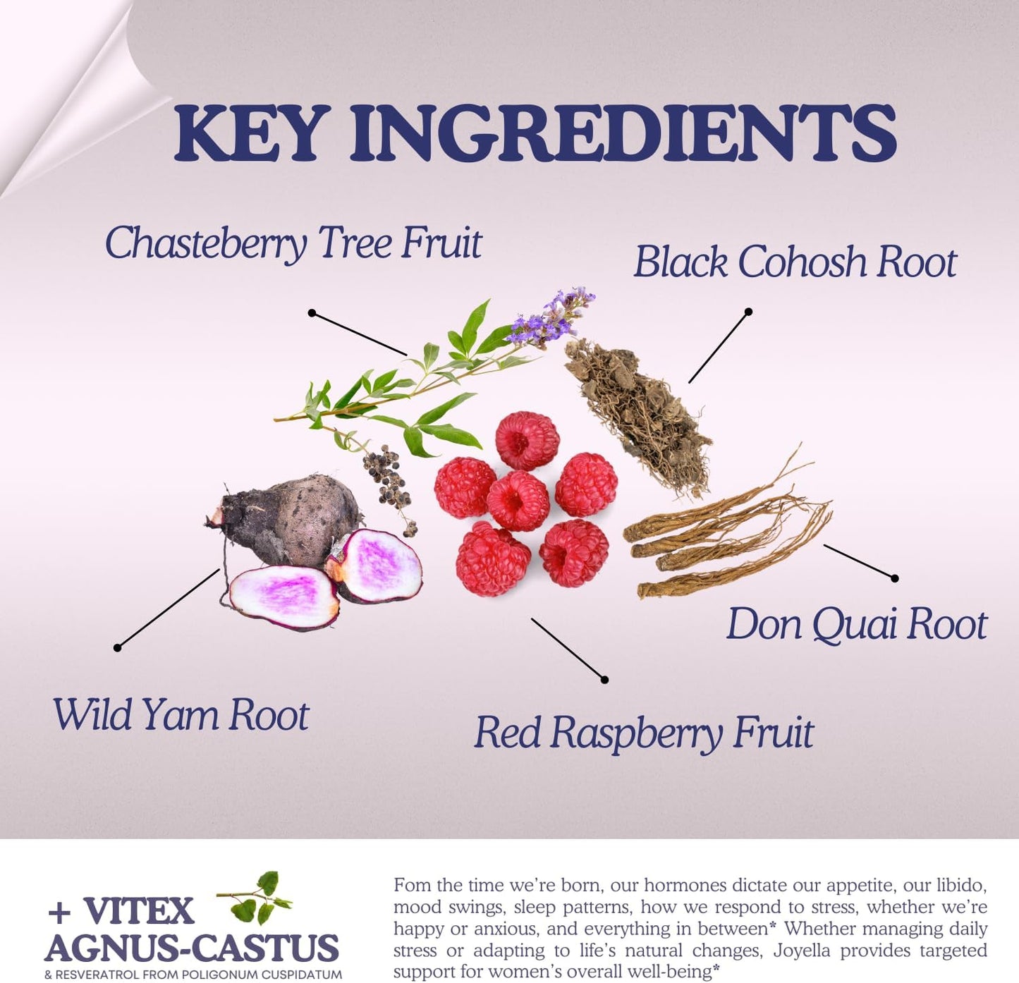 Hormone Balance Supplement for Women with Vitex Chasteberry, Black Cohosh, Dong Quai, and Wild Yam Root - 60 Capsules for Mood and Hormone Harmony in USA