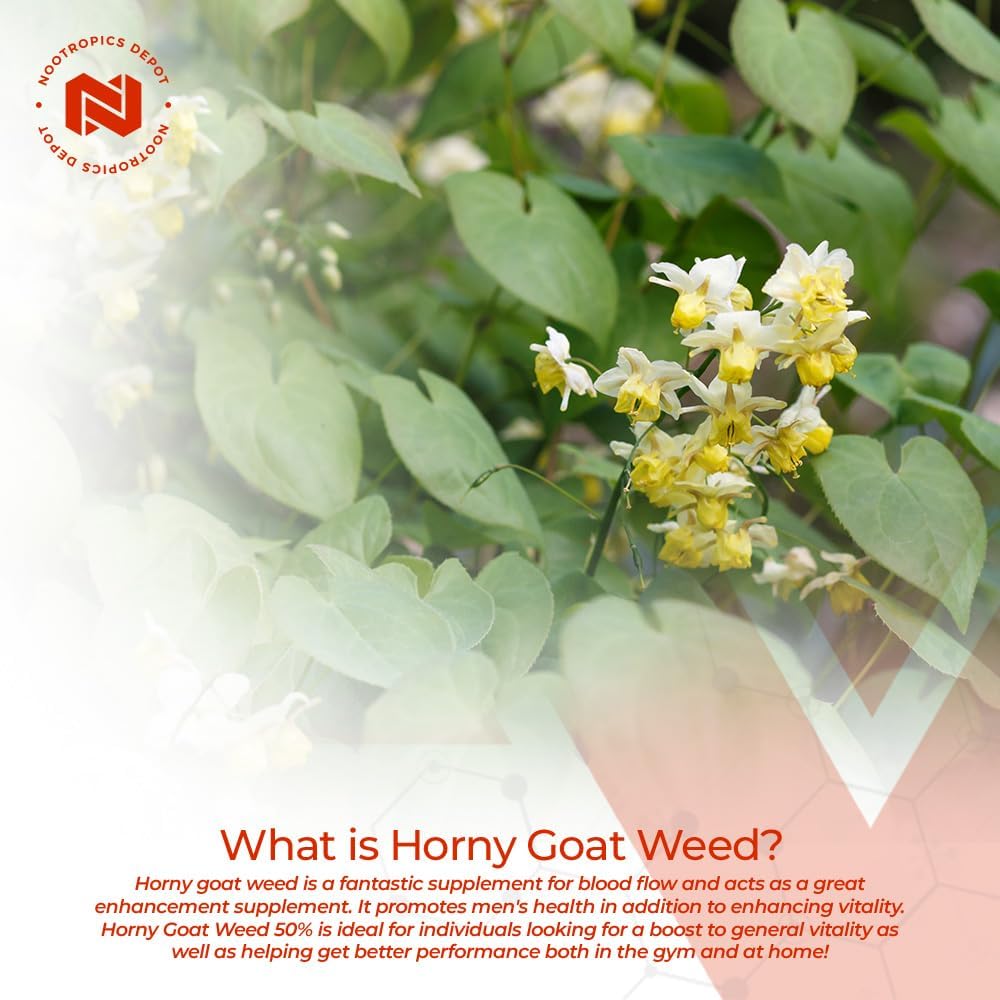 Horny Goat Weed Capsules 200mg - 90 Count | High Icariin Content | Epimedium brevicornum Supplement