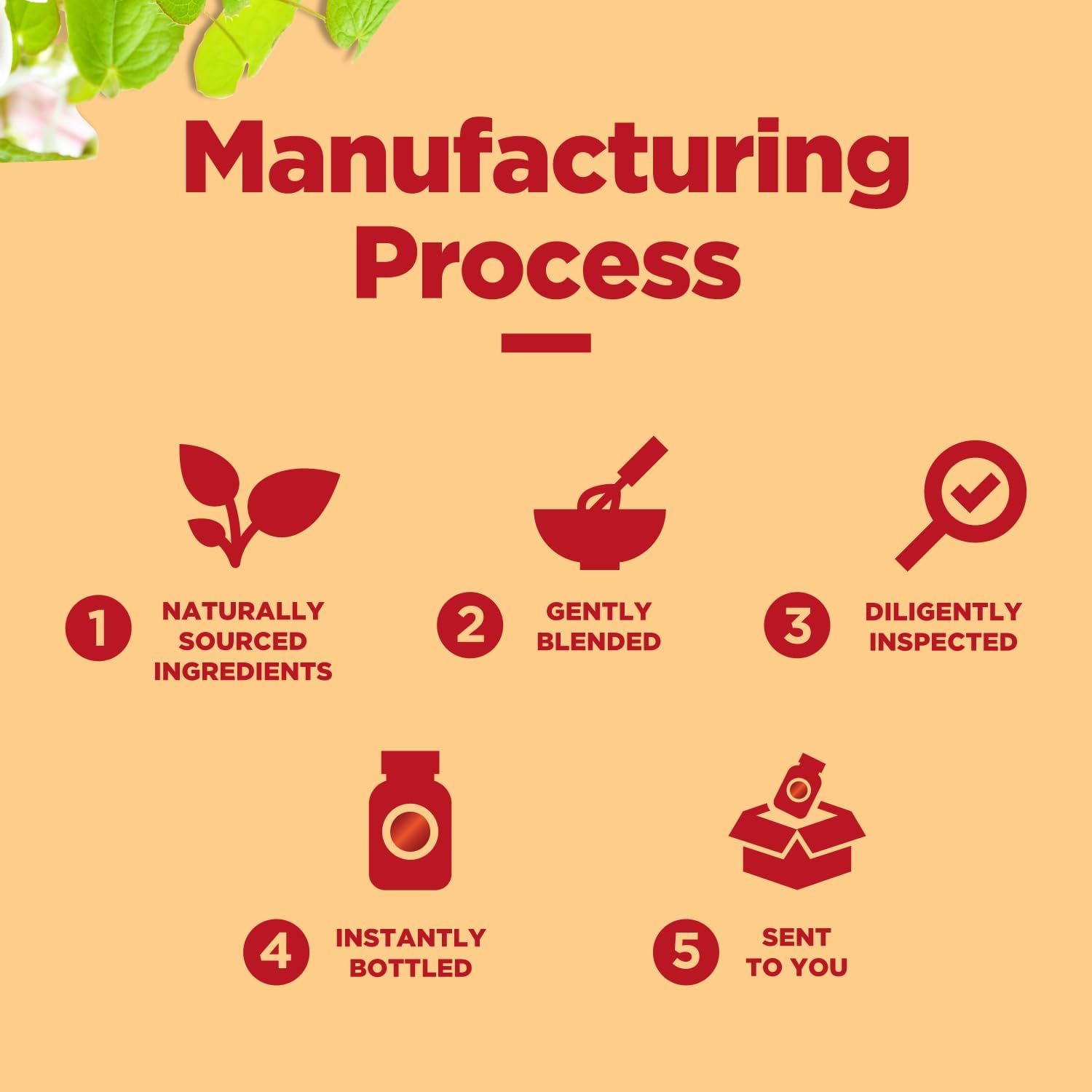 Horny Goat Weed Extract with Maca Powder for Immune Support and Stamina - Energy Booster for Men and Women - 60 Capsules